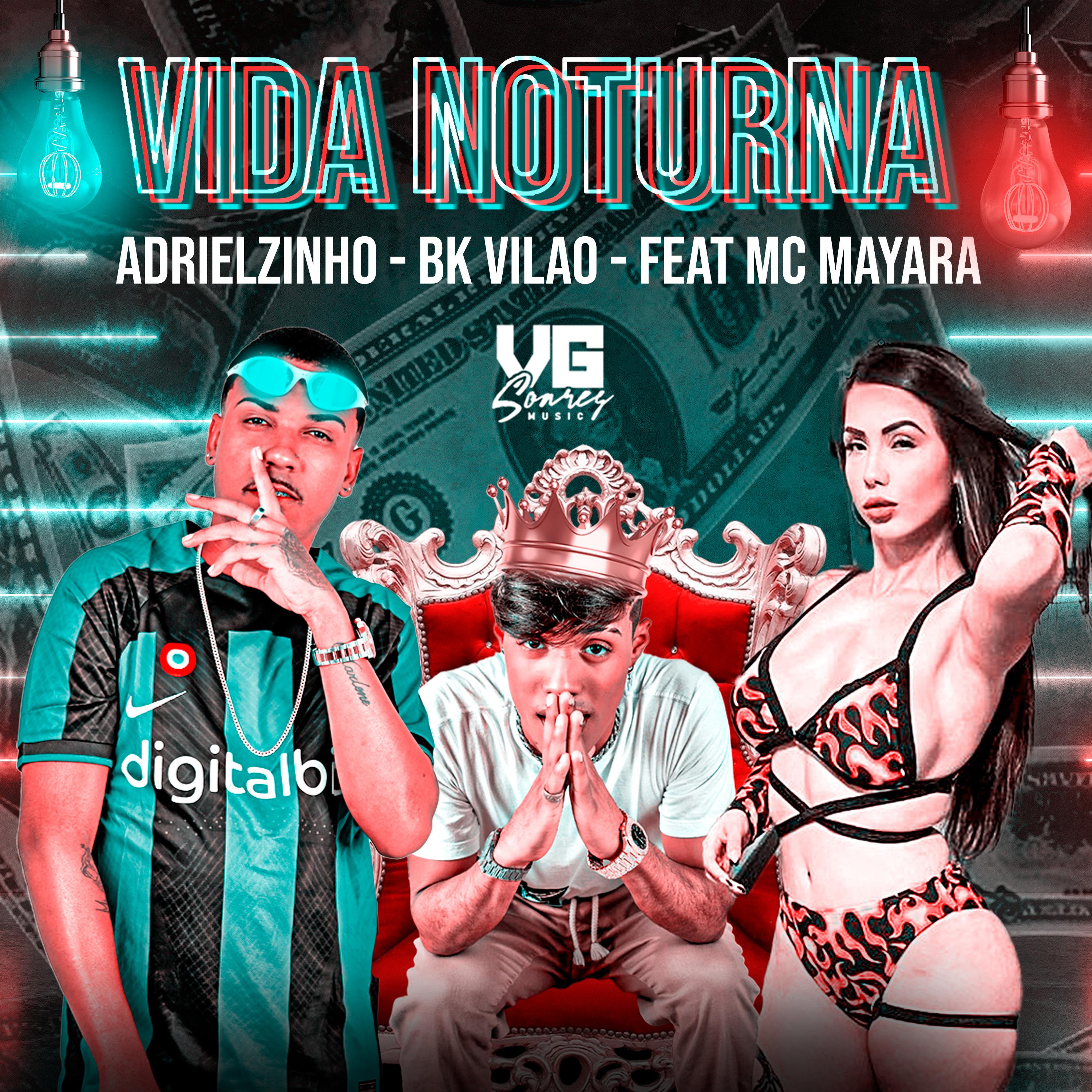 Постер альбома Vida Noturna