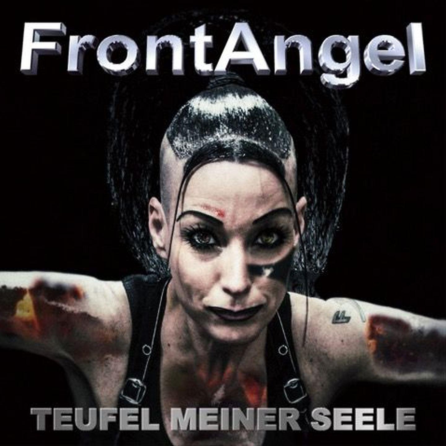 Постер альбома Teufel meiner Seele
