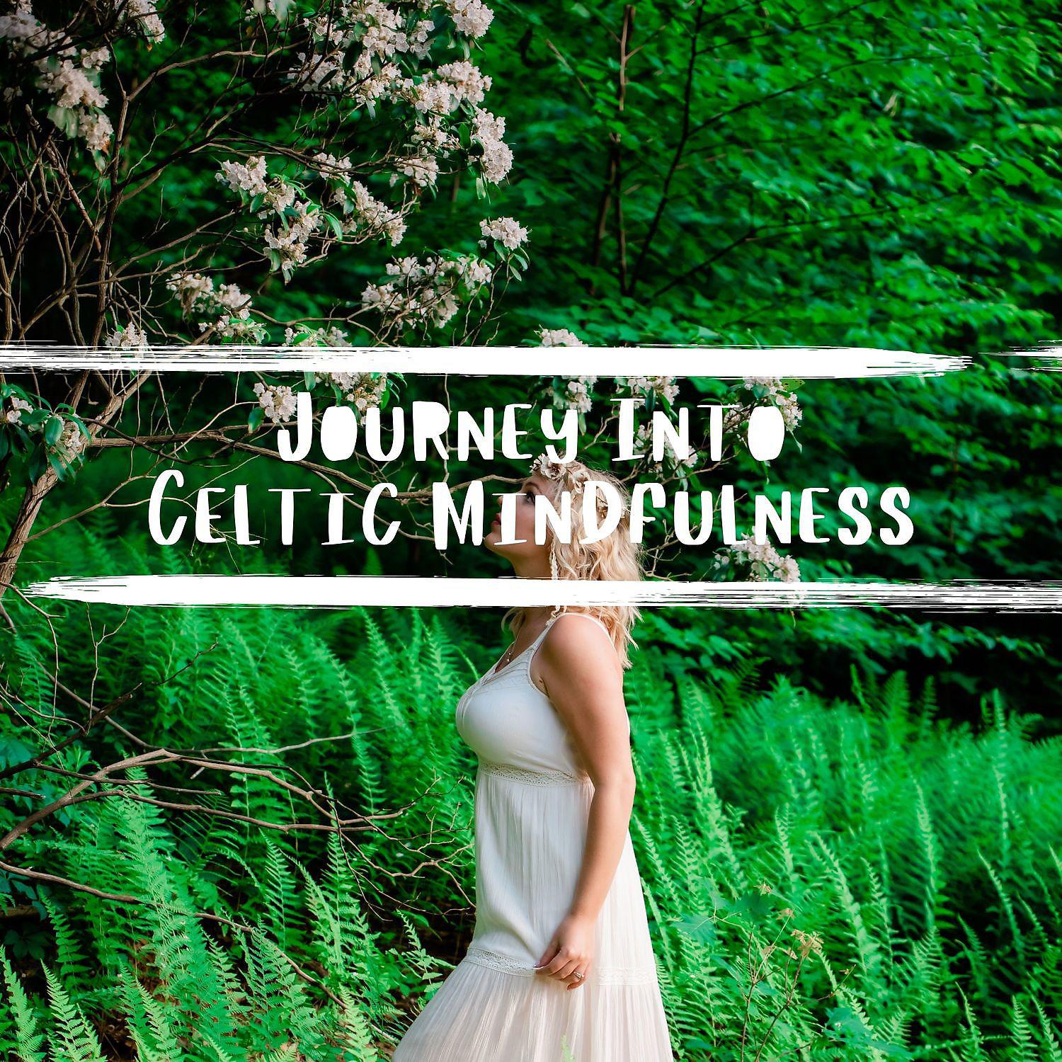Постер альбома Journey into Celtic Mindfulness