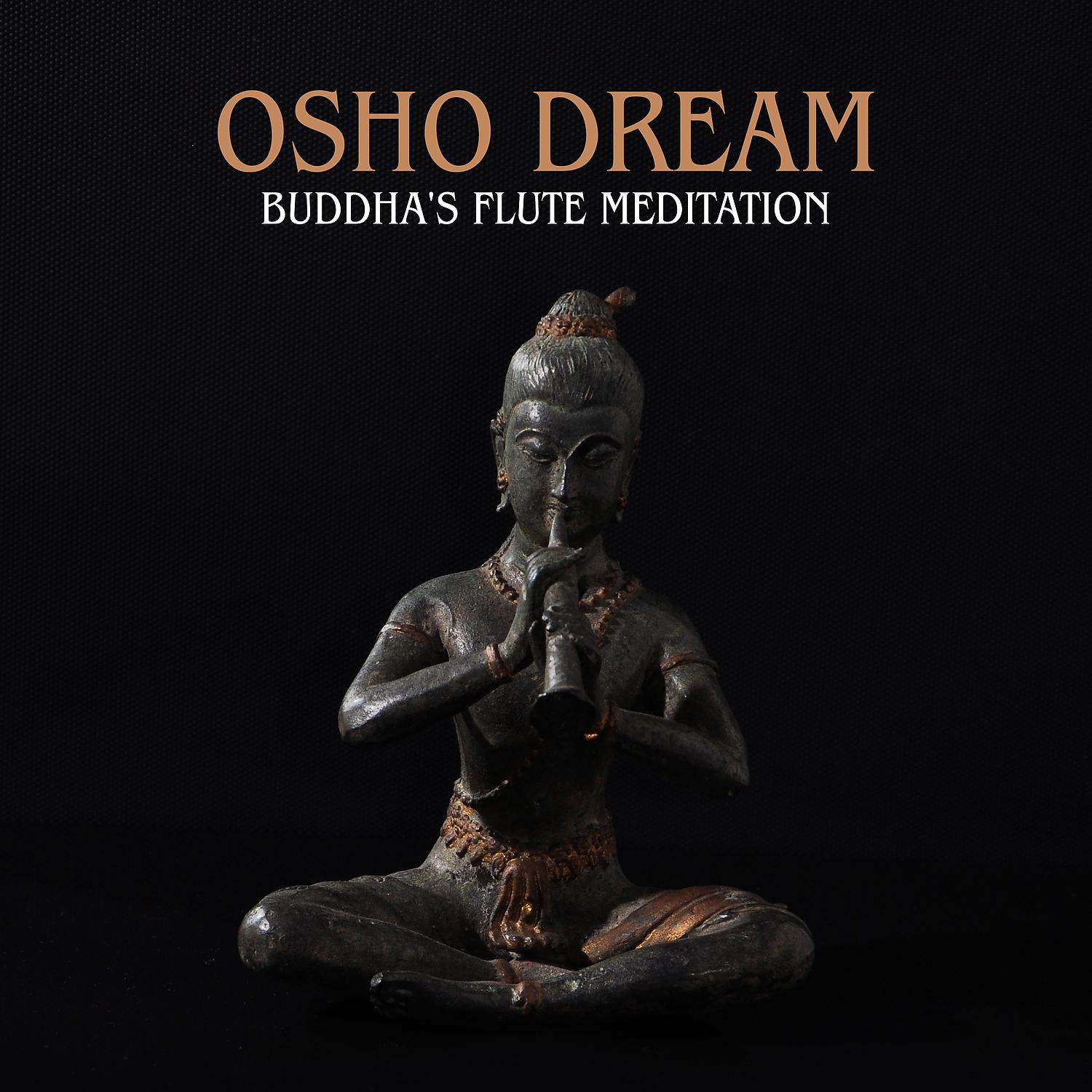 Постер альбома Osho Dream: Buddha's Flute Meditation Music