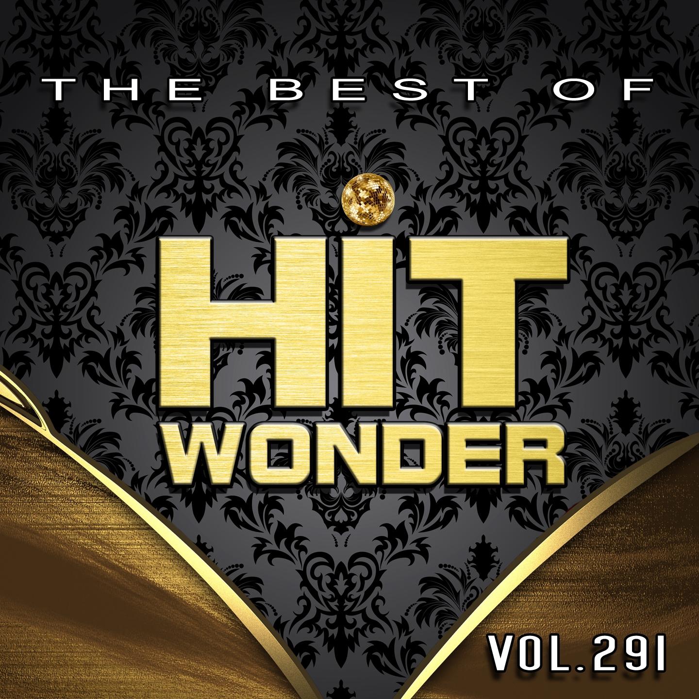 Постер альбома Hit Wonder: The Best Of, Vol. 291