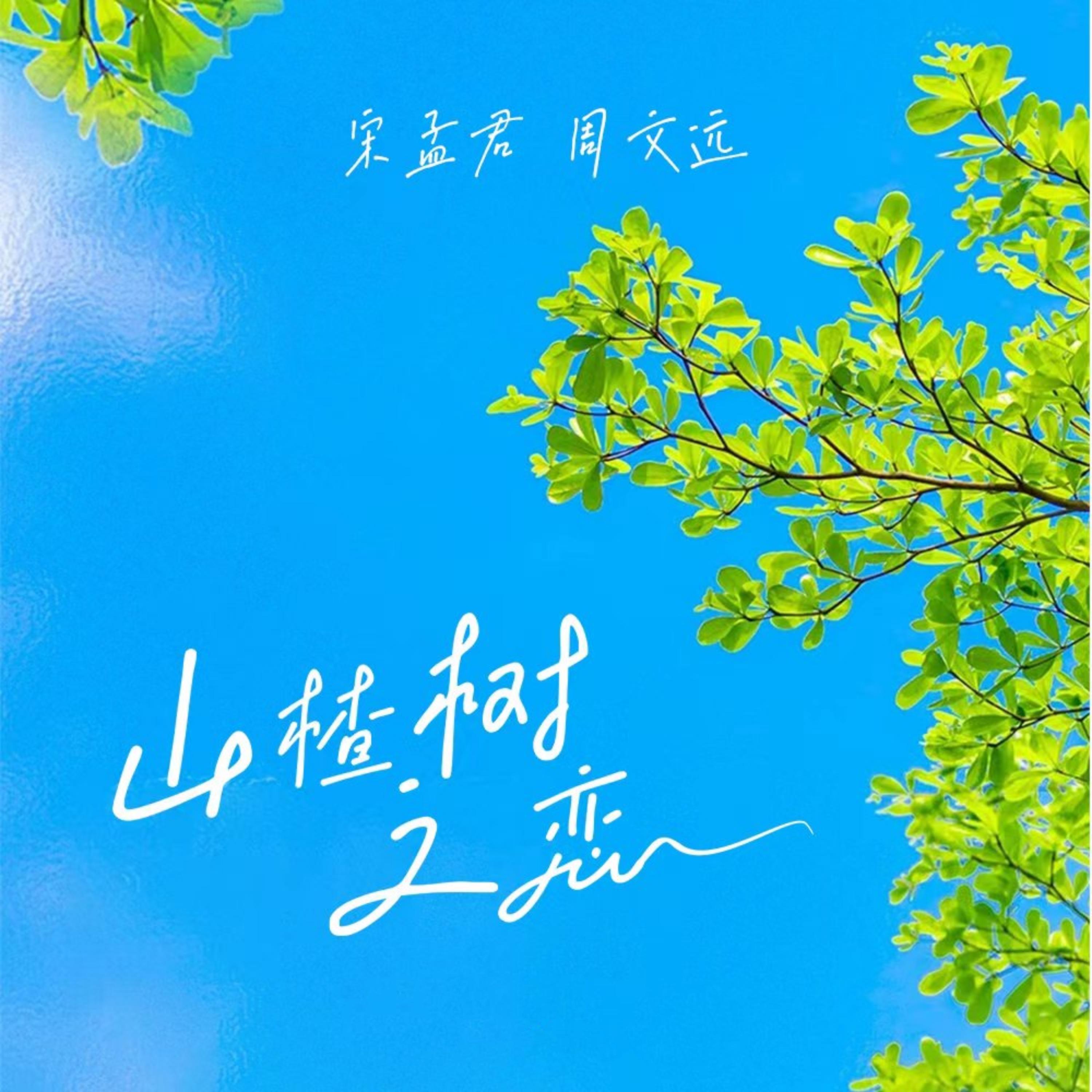 Постер альбома 山楂树之恋