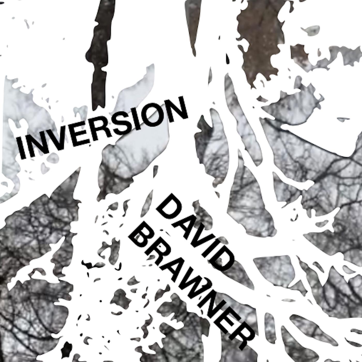 Постер альбома Inversion