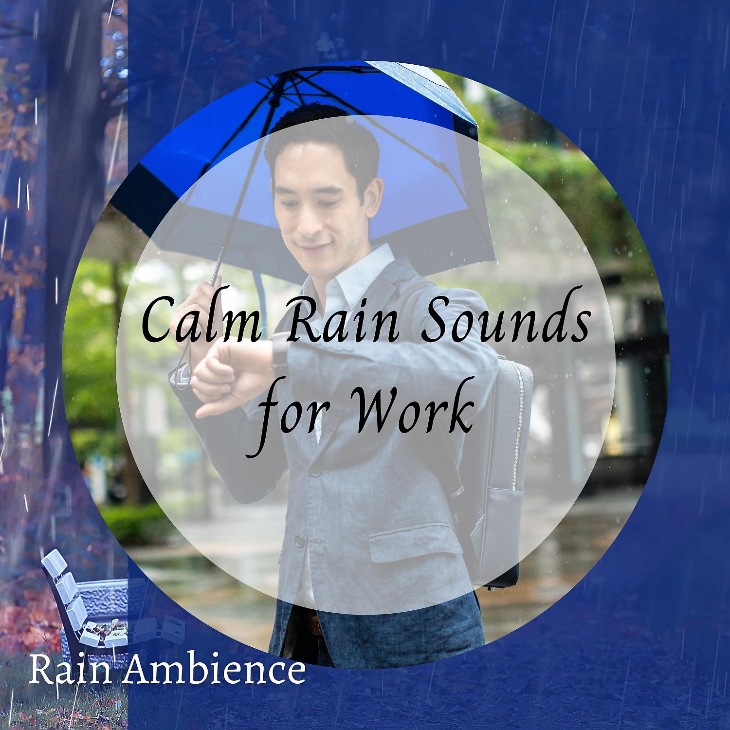 Постер альбома Rain Ambience: Calm Rain Sounds for Work