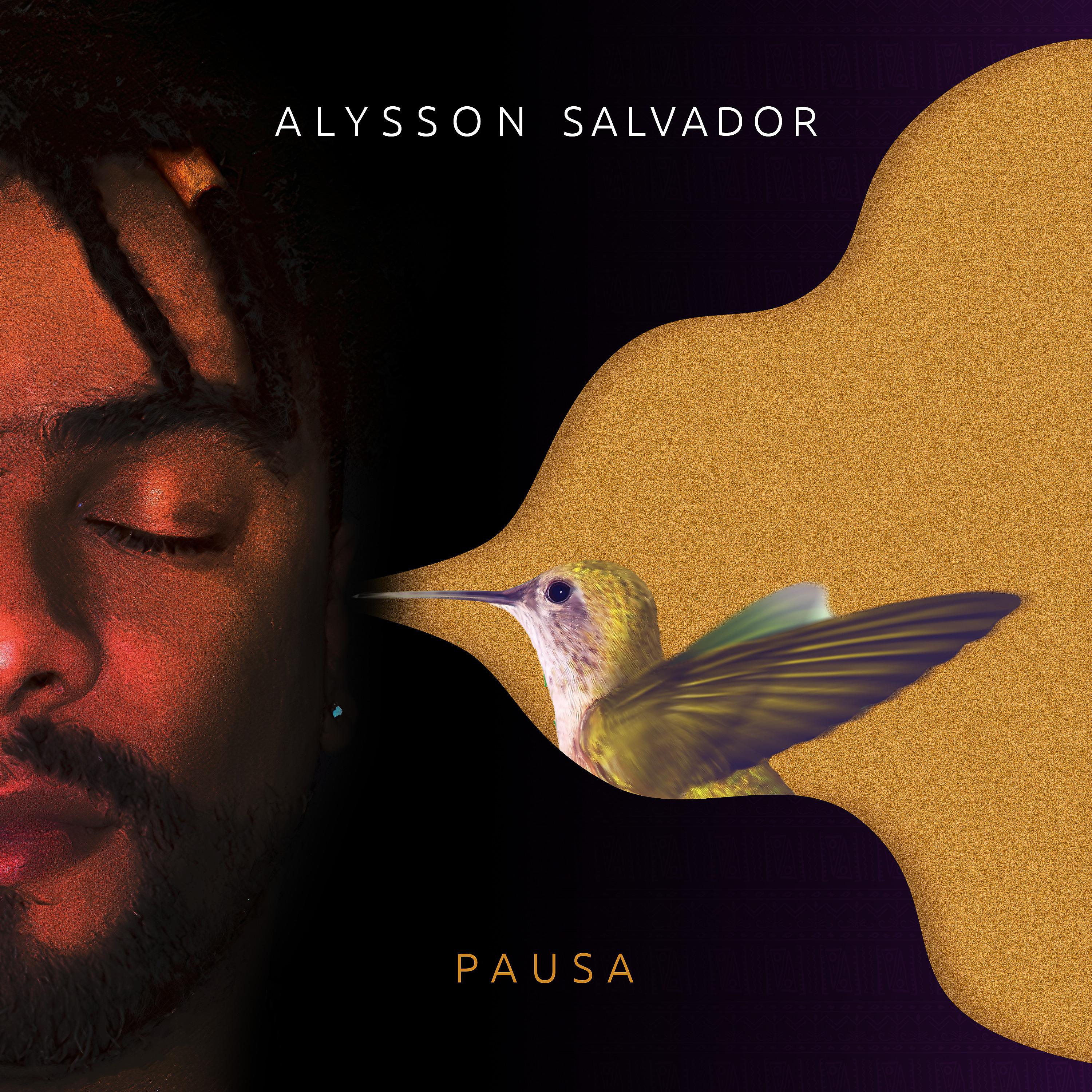 Постер альбома Pausa