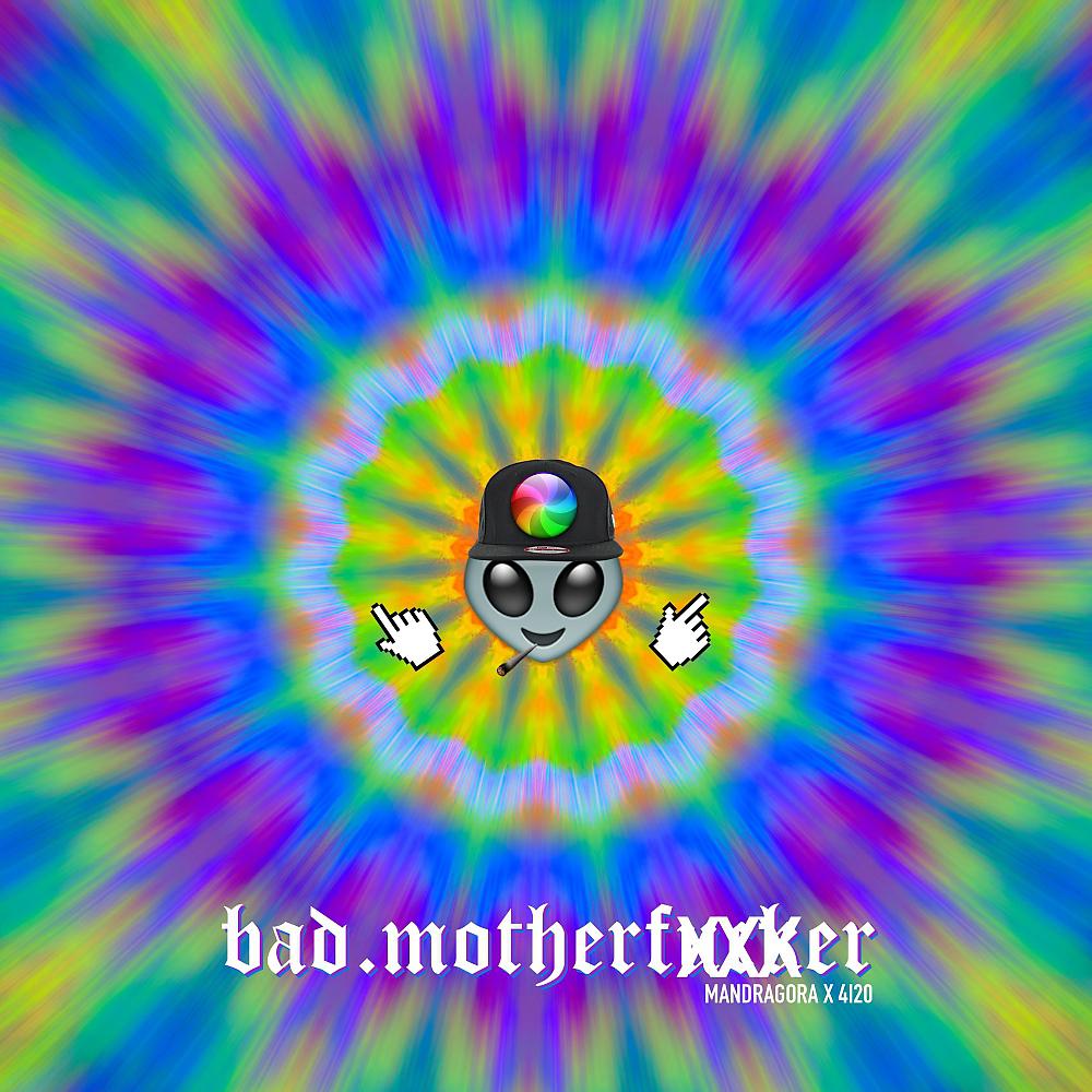 Постер альбома Bad Motherfucker