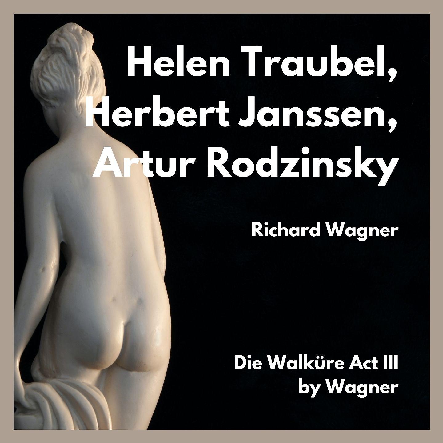 Постер альбома Die walküre act III by wagner