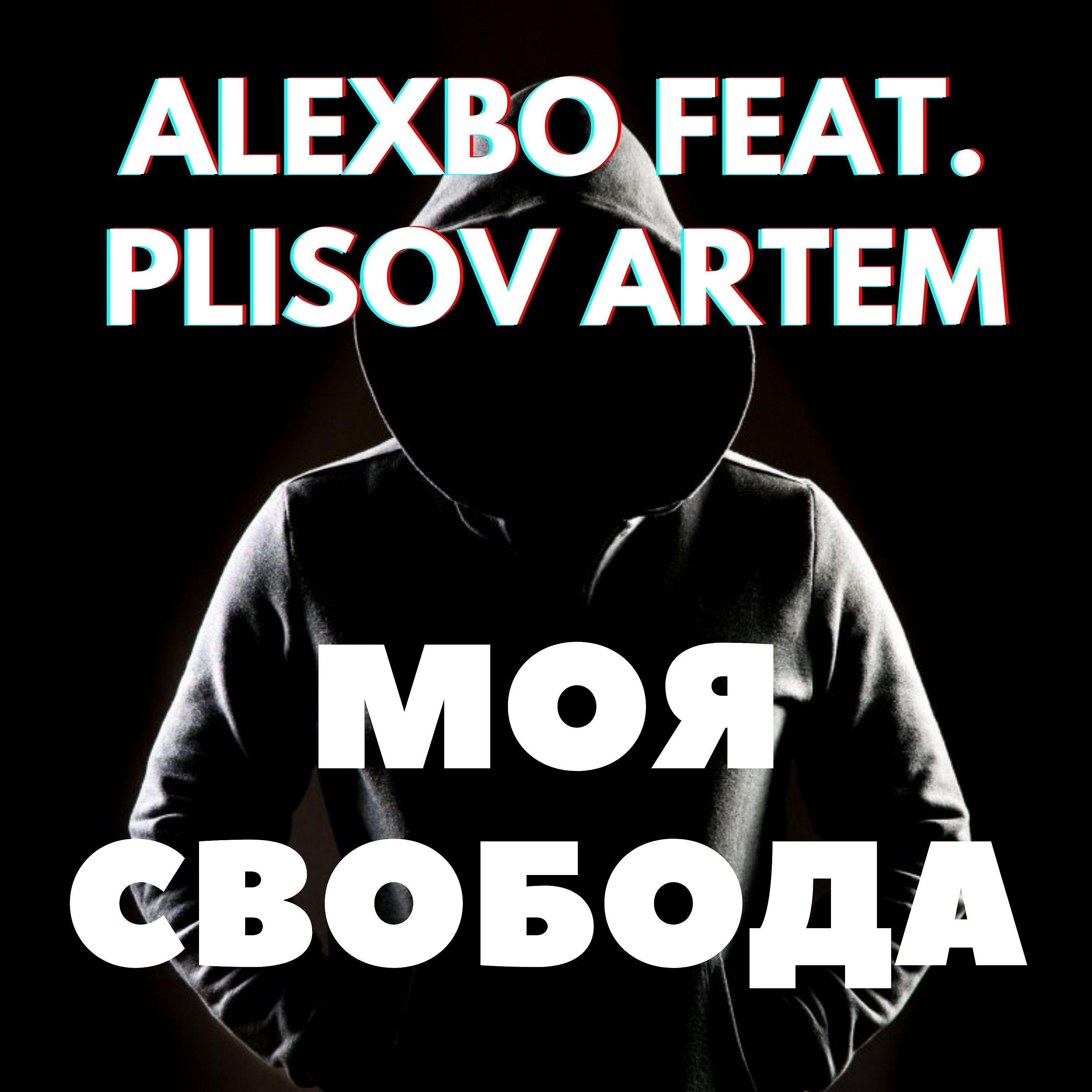 Постер альбома Моя свобода (feat. Artem Plisov)