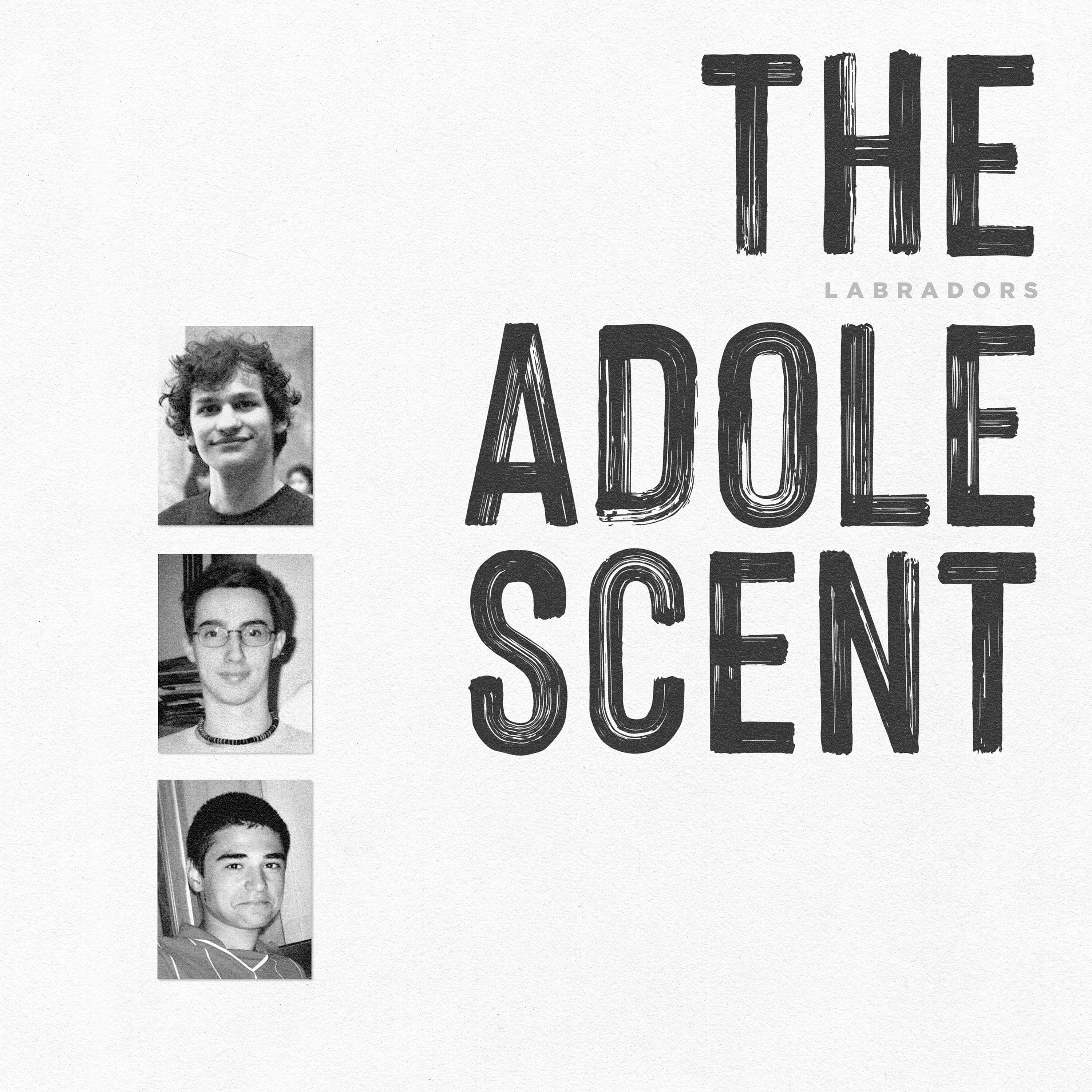 Постер альбома The Adolescent