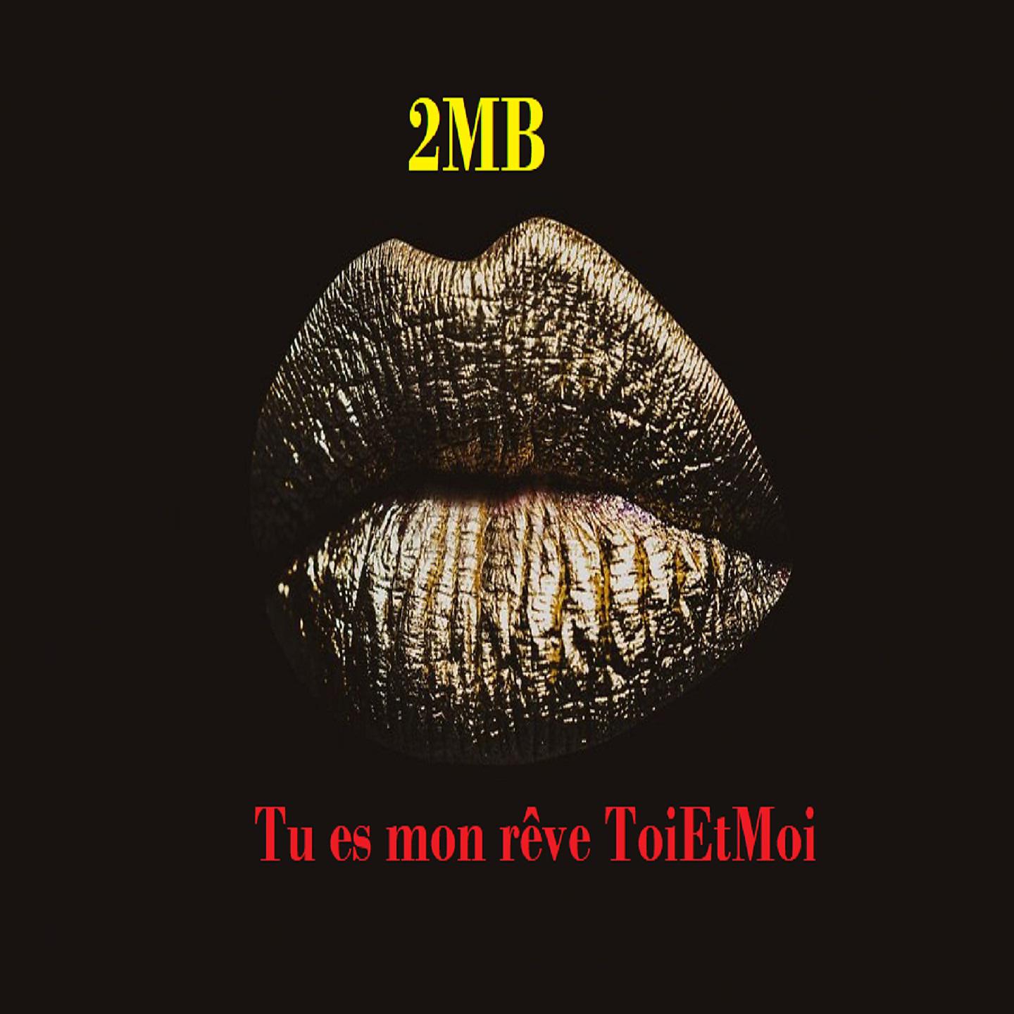 Постер альбома Tu es mon rêve ToiEtMoi