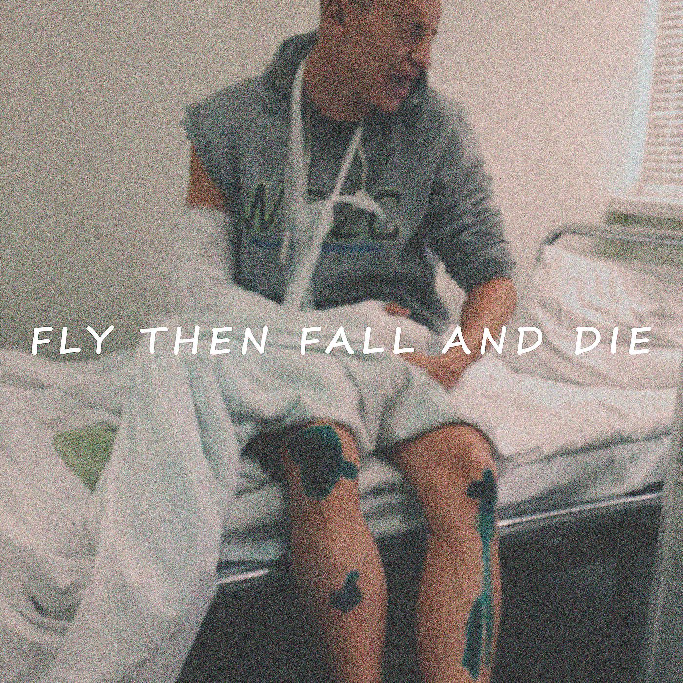 Постер альбома Fly Then Fall and Die