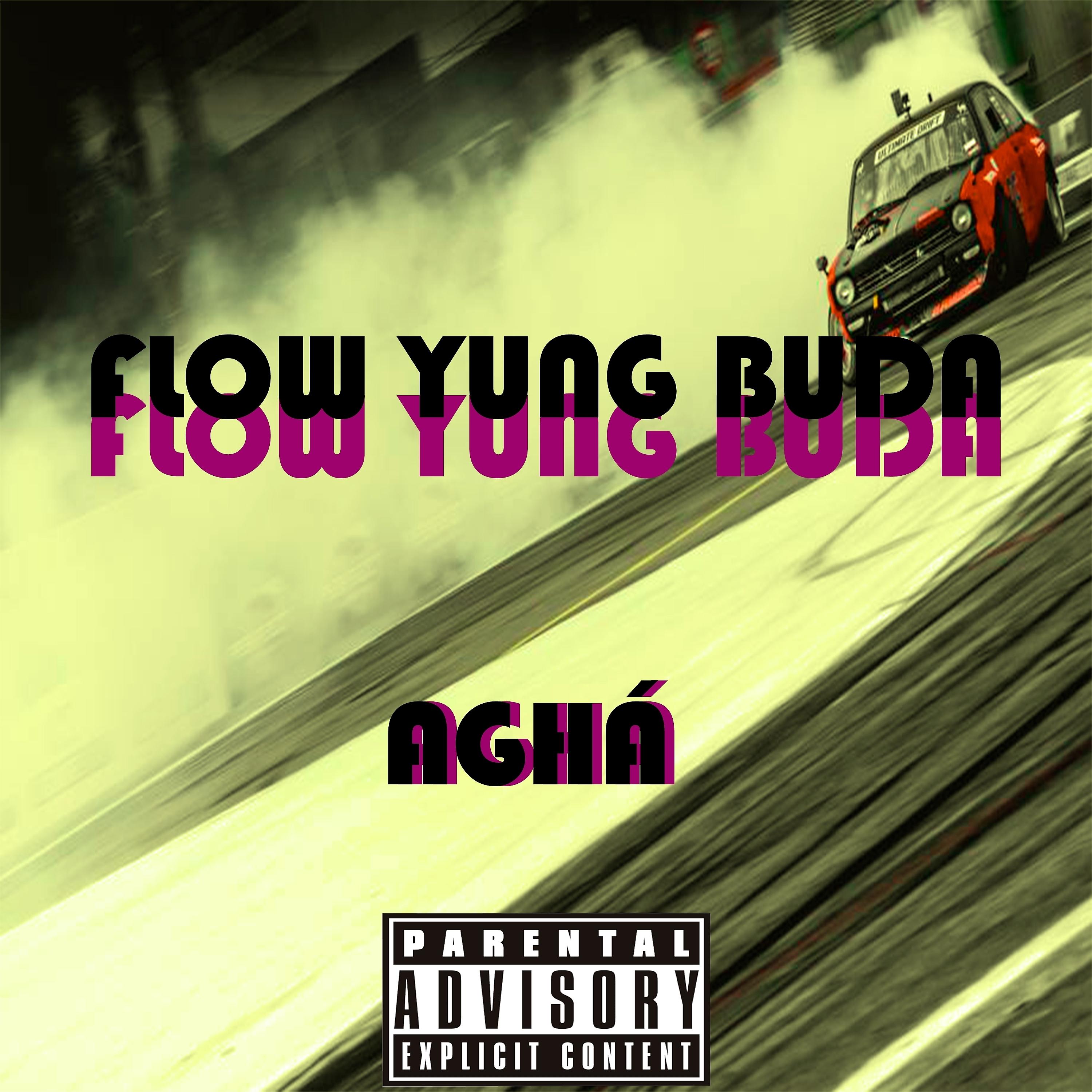 Постер альбома Flow Yung Buda