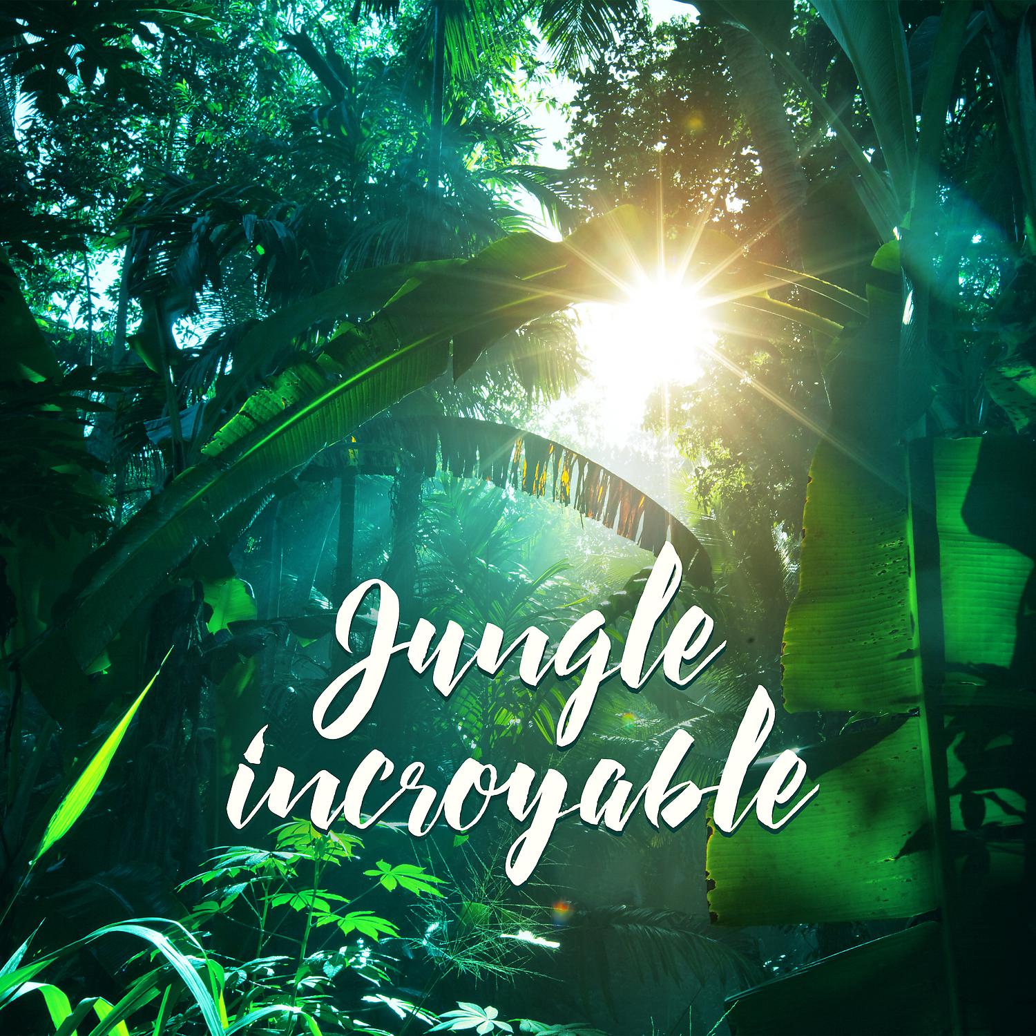 Постер альбома Jungle incroyable: Sons de la nature, Paysages sonores de la forêt, Chant des oiseaux, Ruisseaux d'eau pure