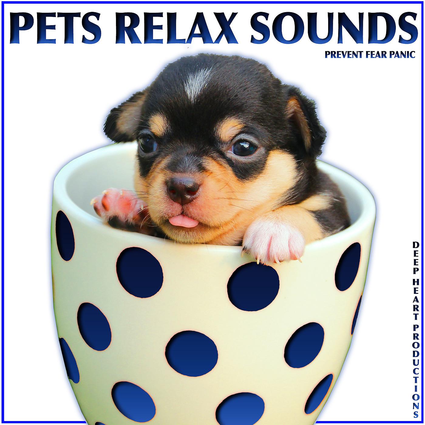 Постер альбома Pets Relax Sounds: Prevent Fear Panic