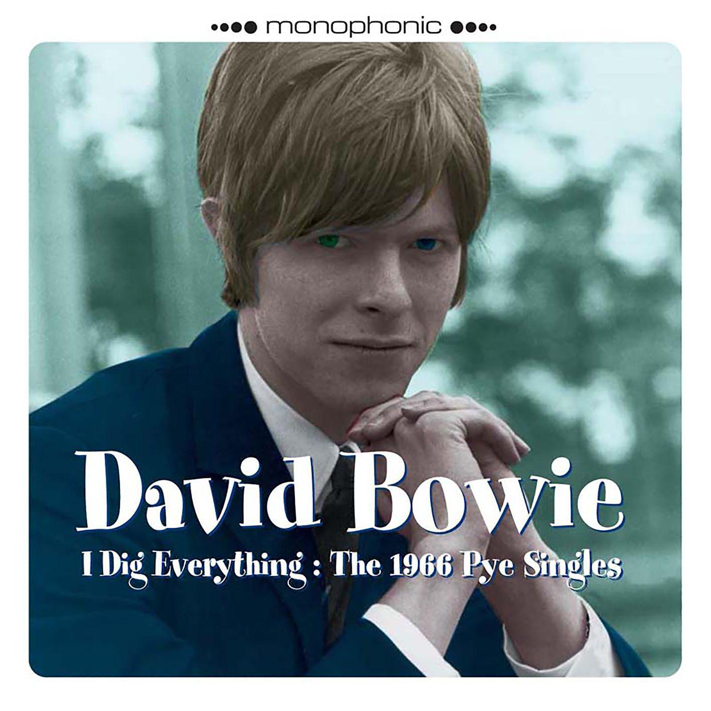 Постер альбома I Dig Everything: The 1966 Pye Singles