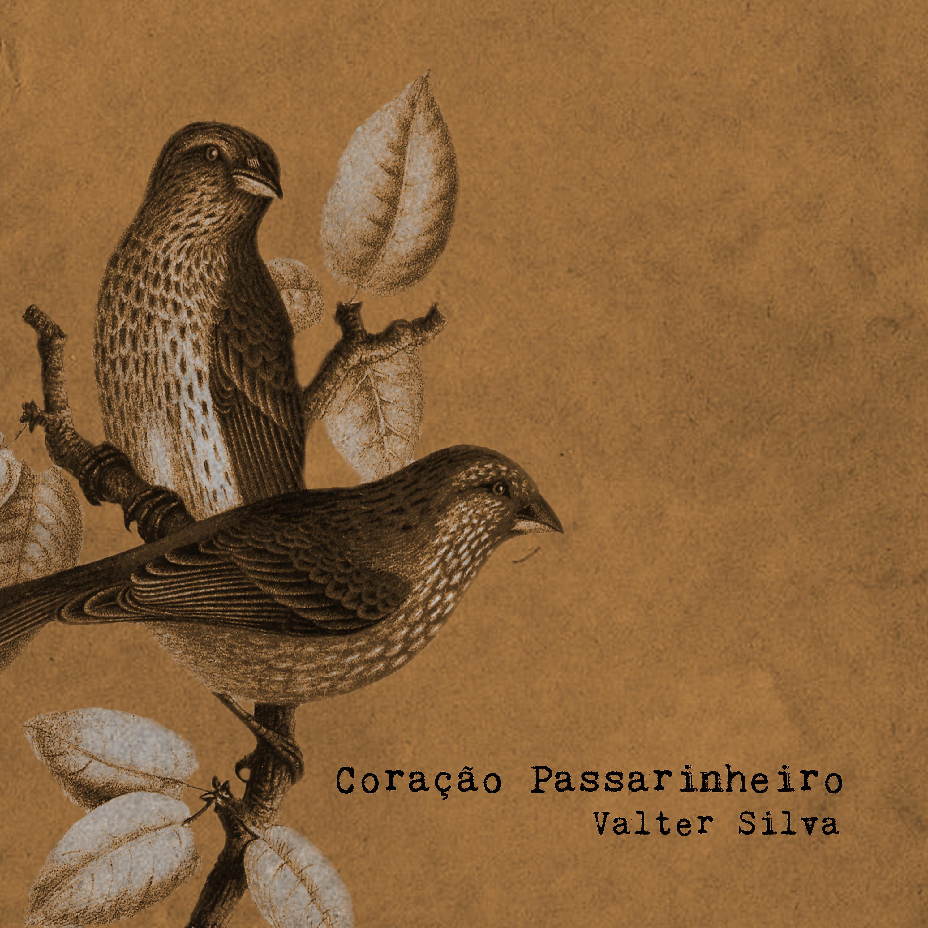 Постер альбома Coração Passarinheiro - Acústica