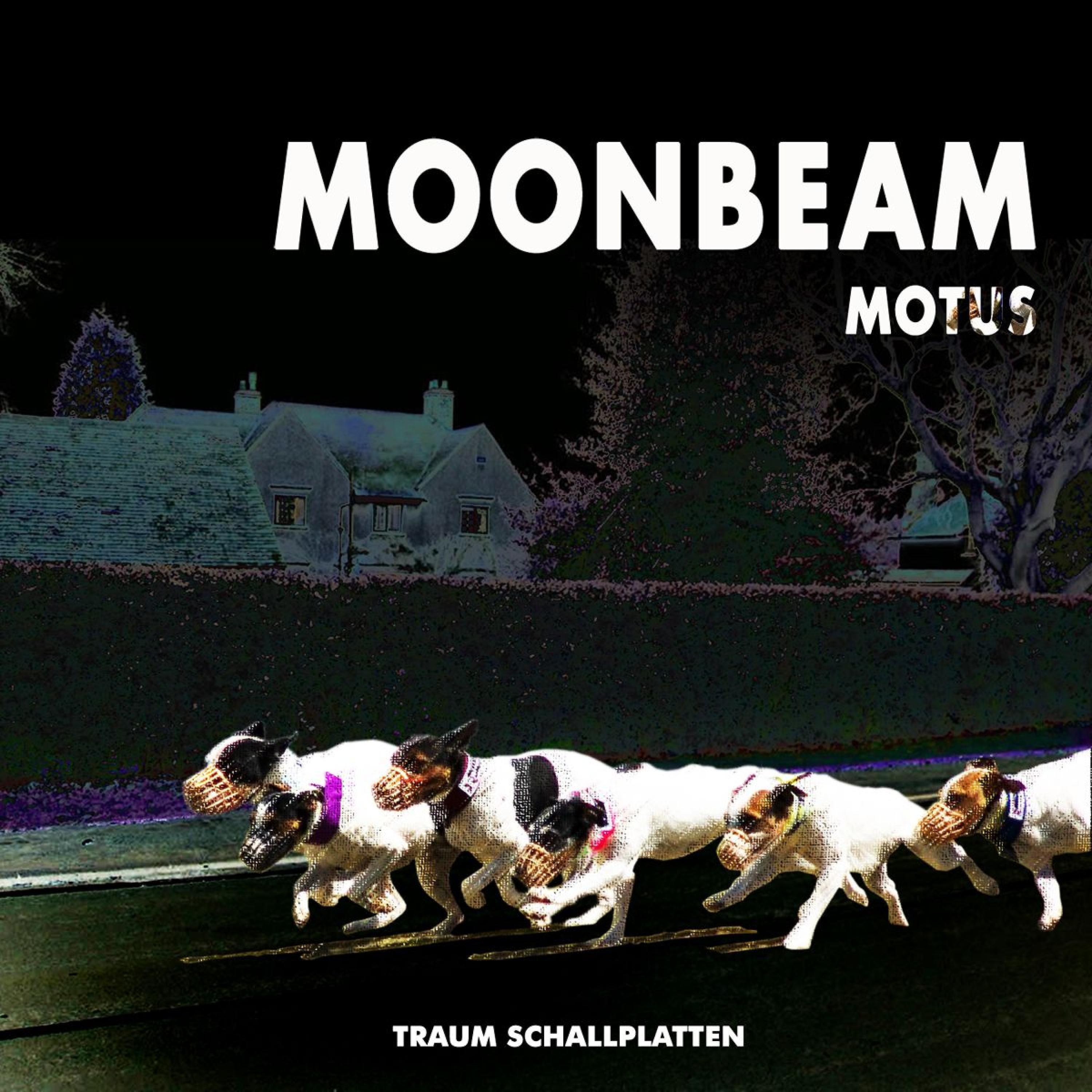 Постер альбома Motus