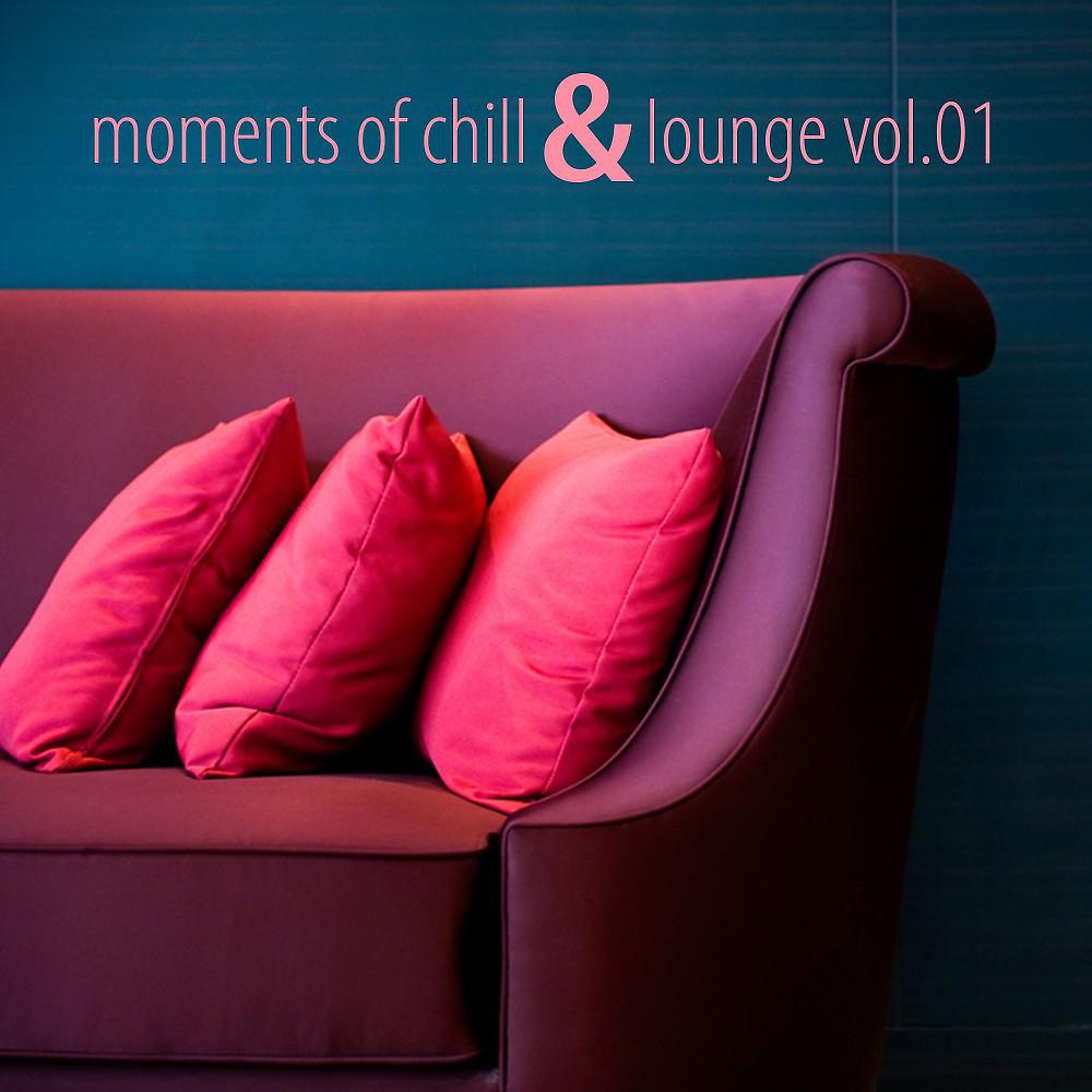 Постер альбома Moments of Chill & Lounge, Vol. 01
