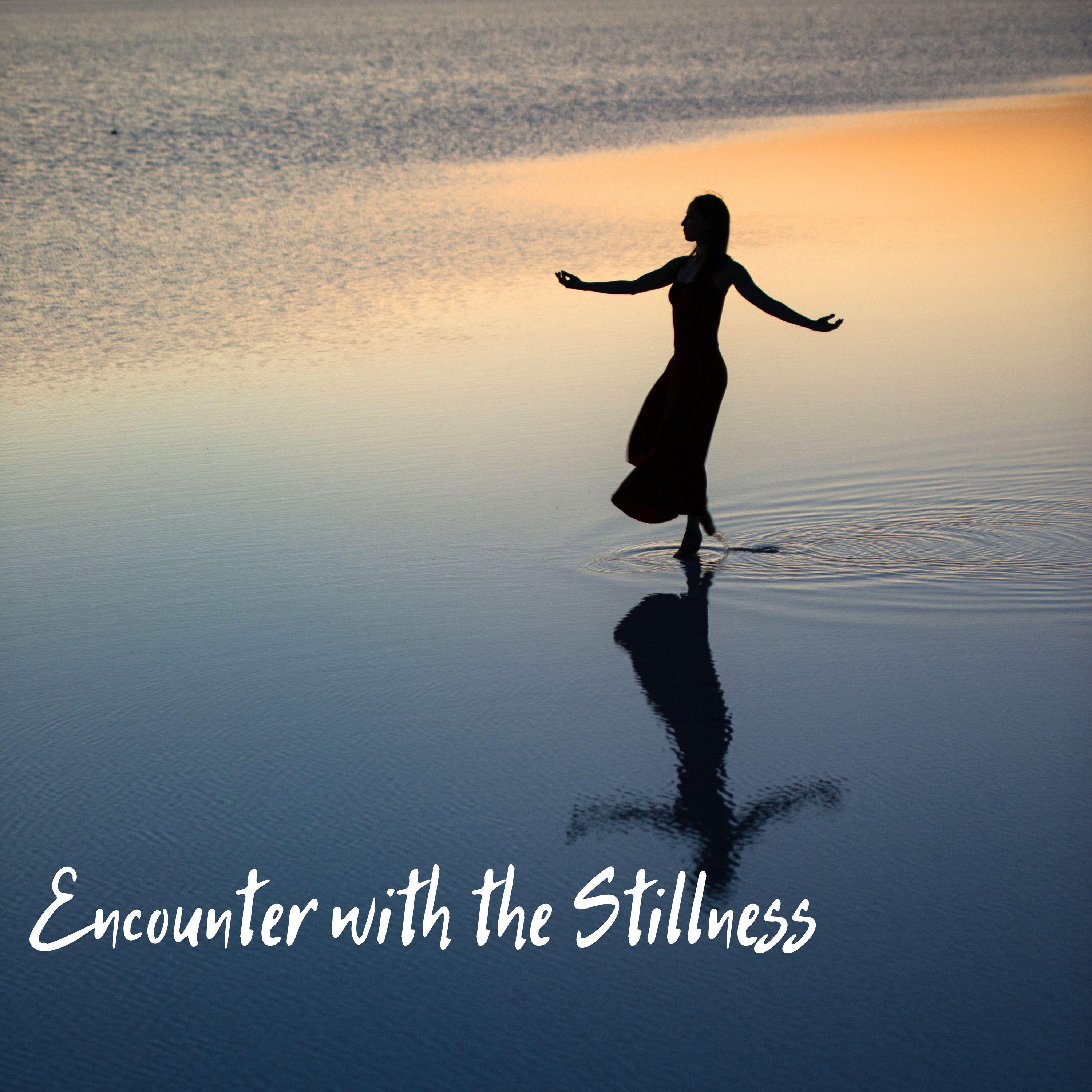 Постер альбома Encounter with the stillness