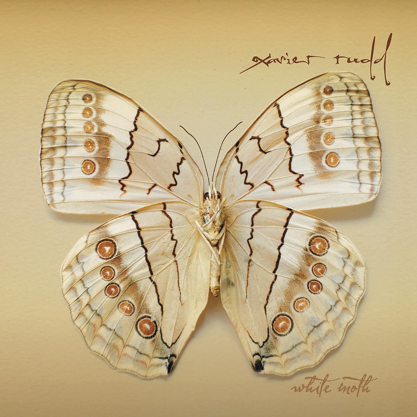 Постер альбома White Moth