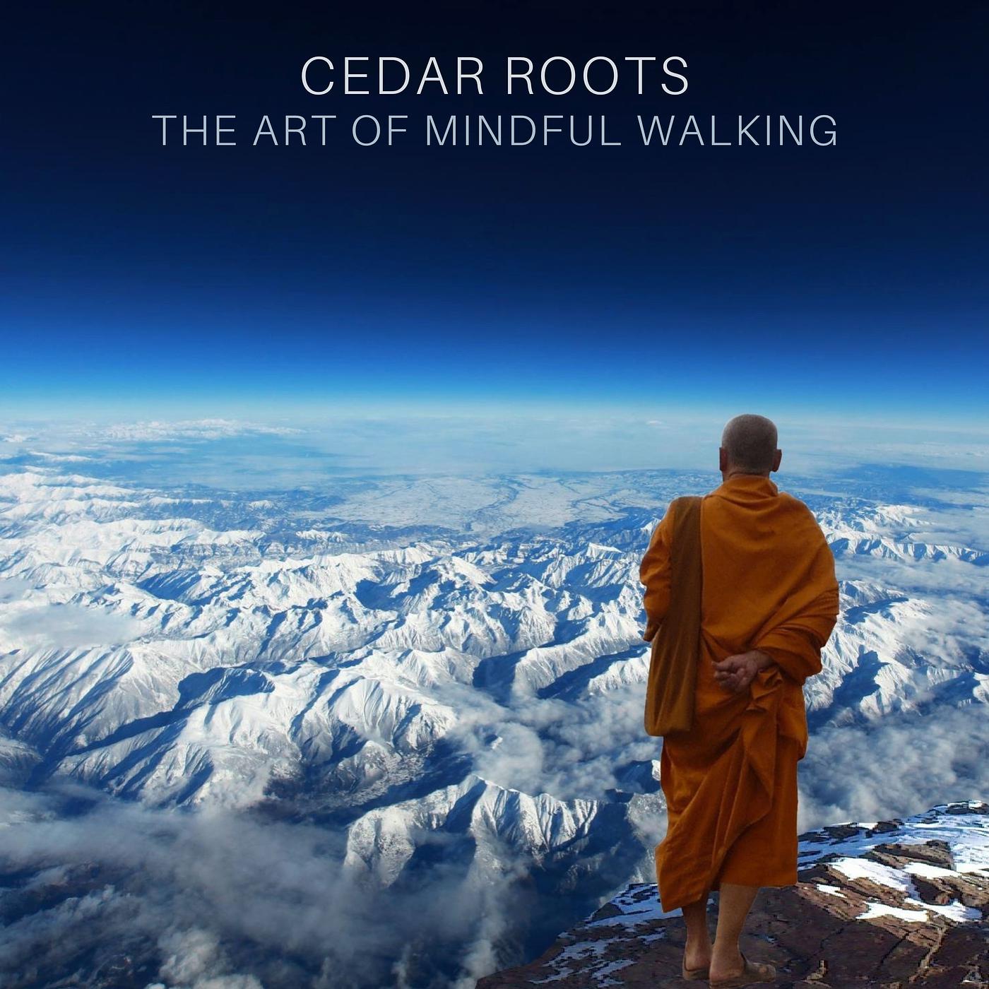 Постер альбома The Art of Mindful Walking