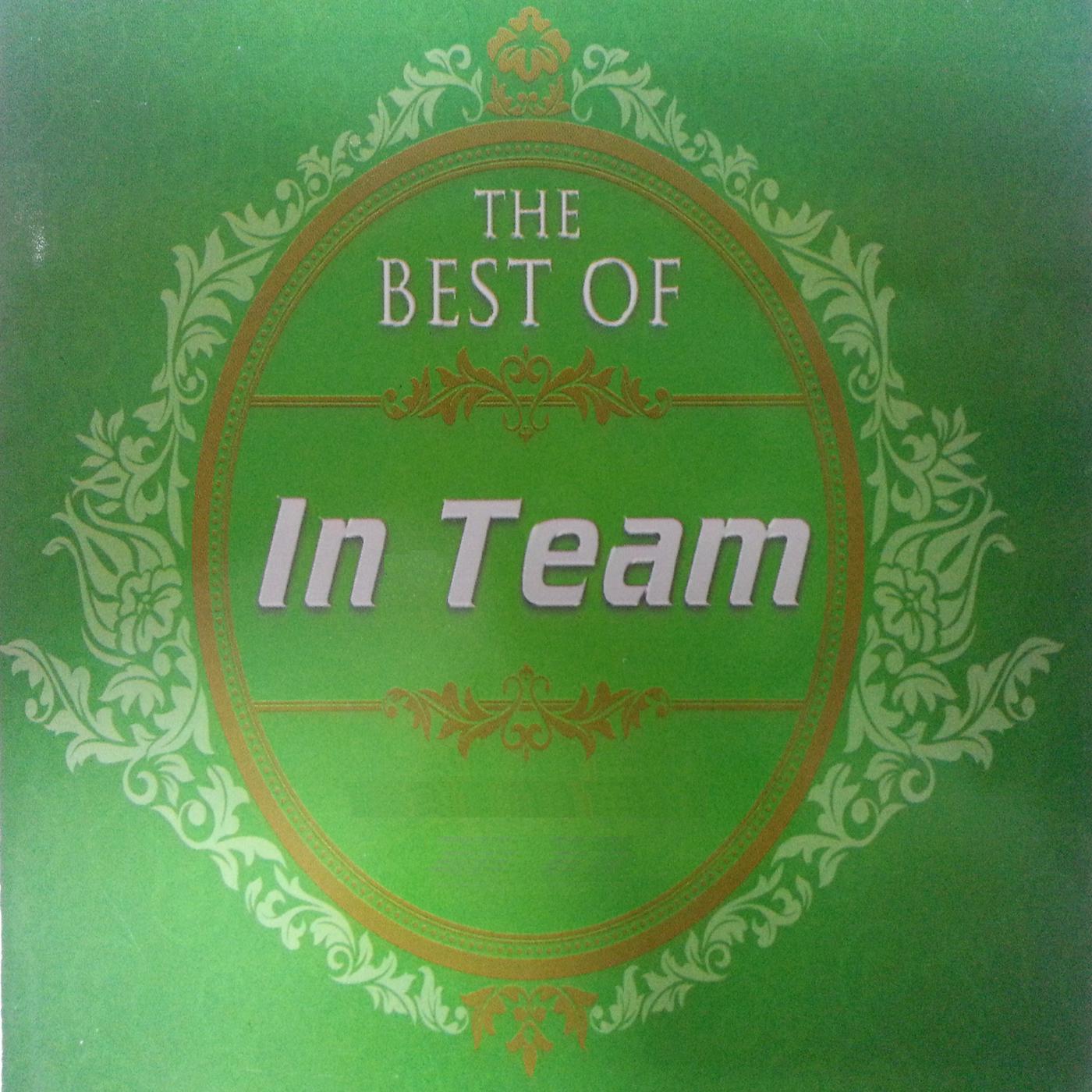 Постер альбома The Best Of In Team