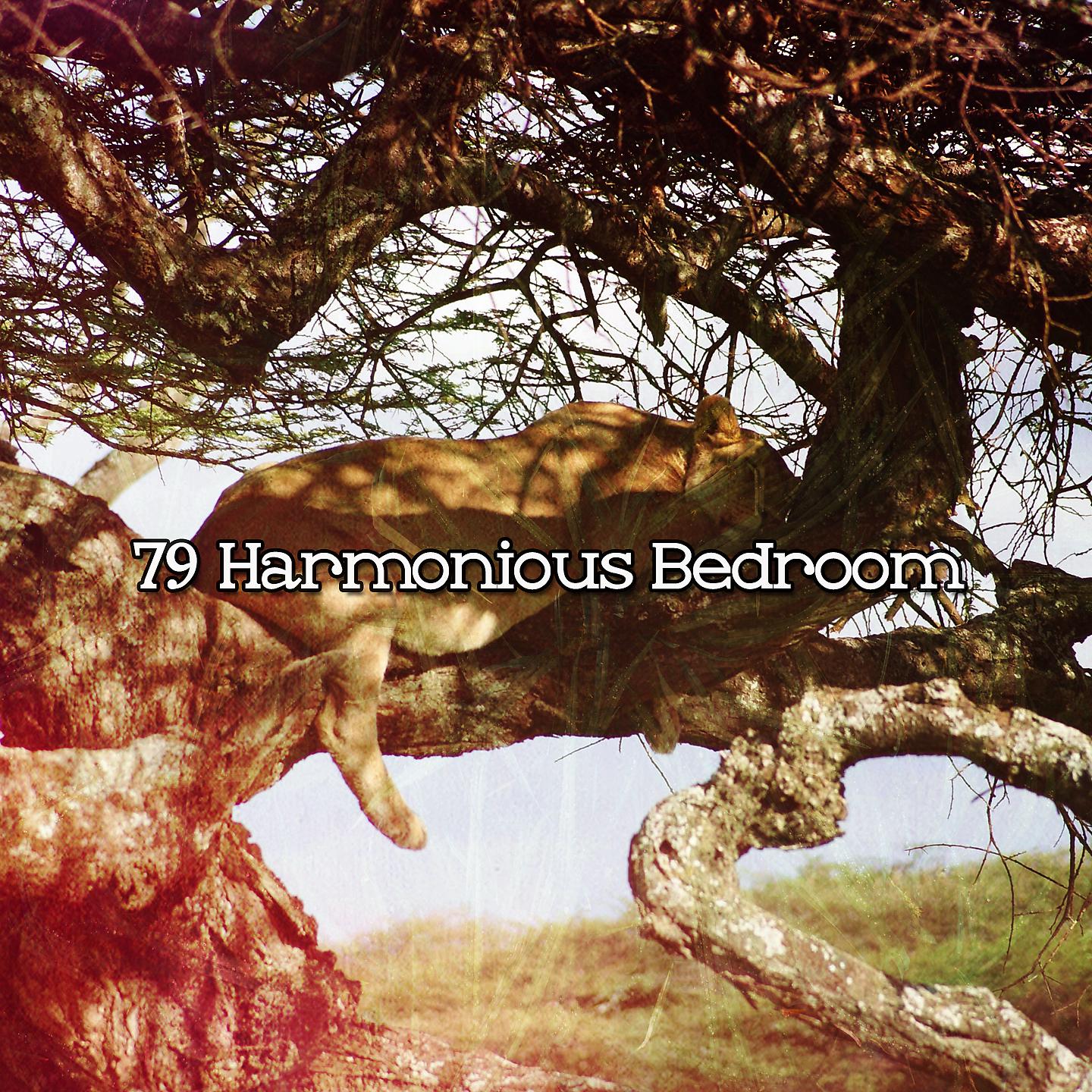 Постер альбома 79 Гармоничная Спальня