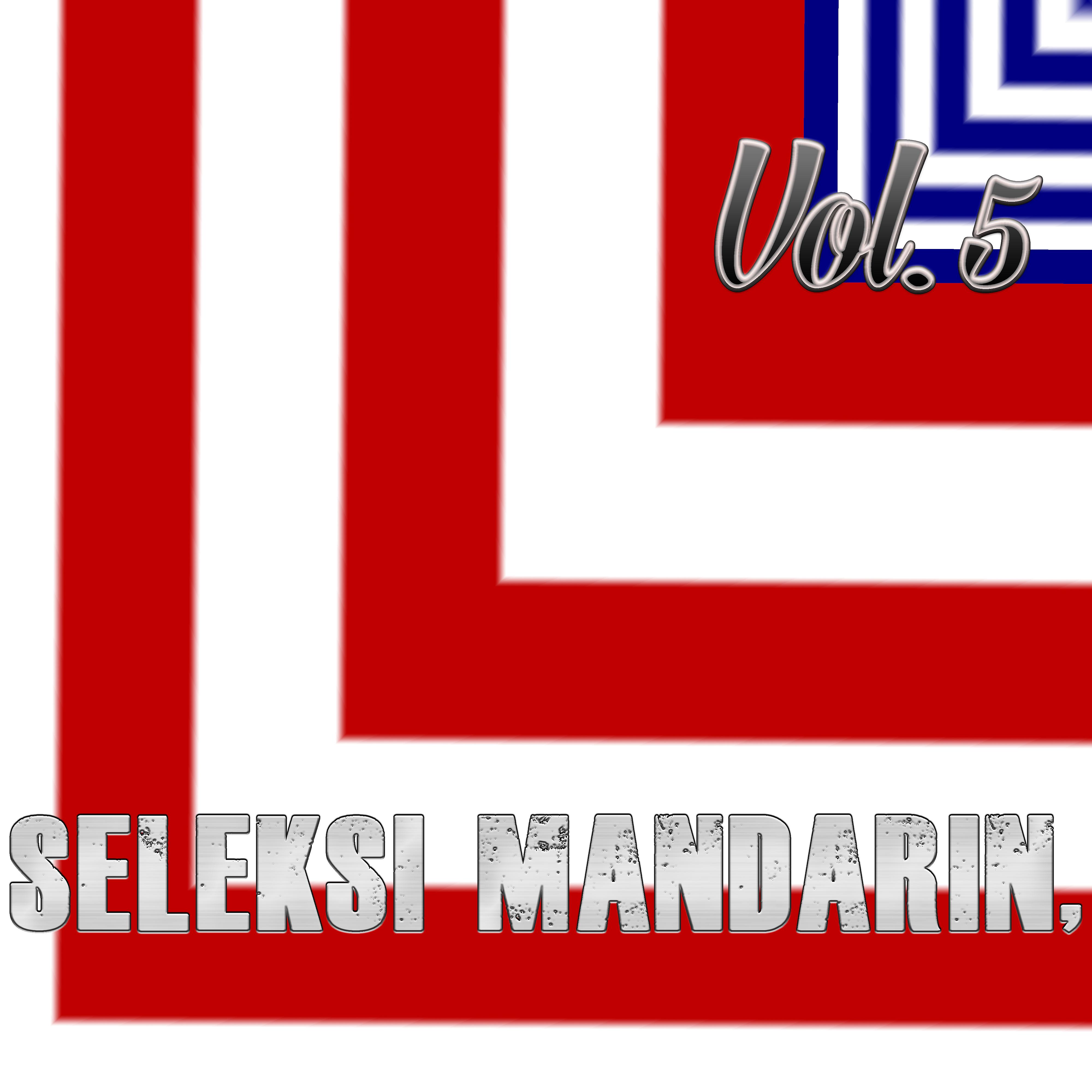 Постер альбома Seleksi Mandarin, Vol. 5