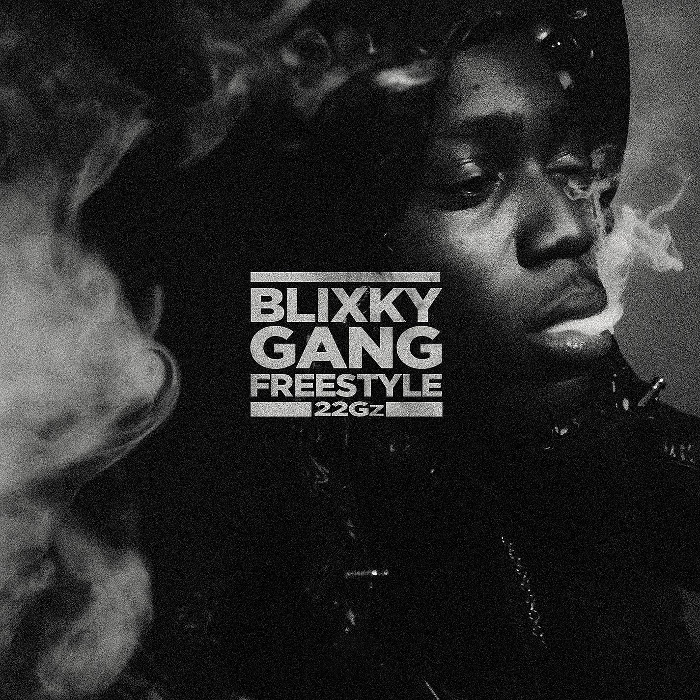 Постер альбома Blixky Gang Freestyle