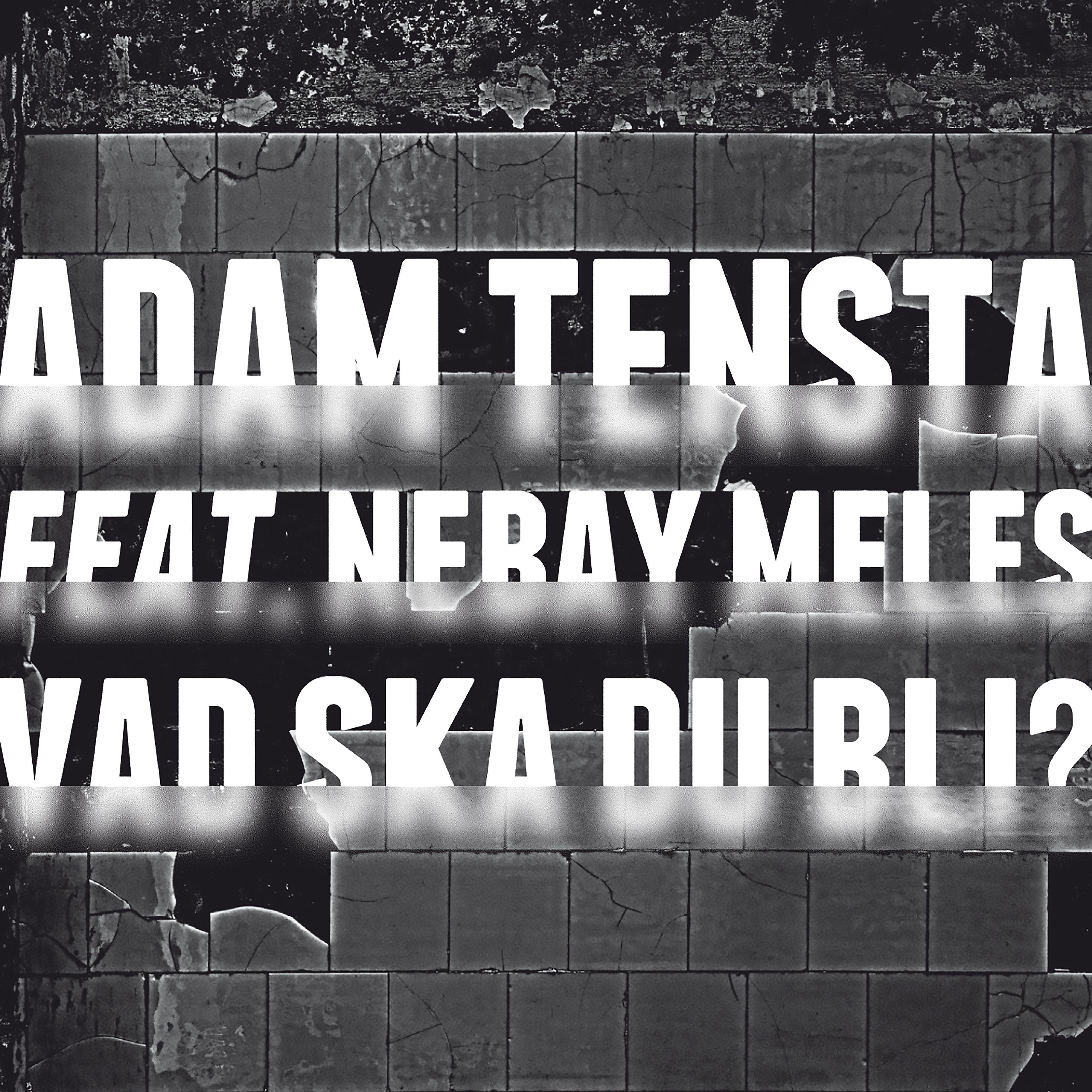 Постер альбома Vad ska du bli? (feat. Nebay Meles)