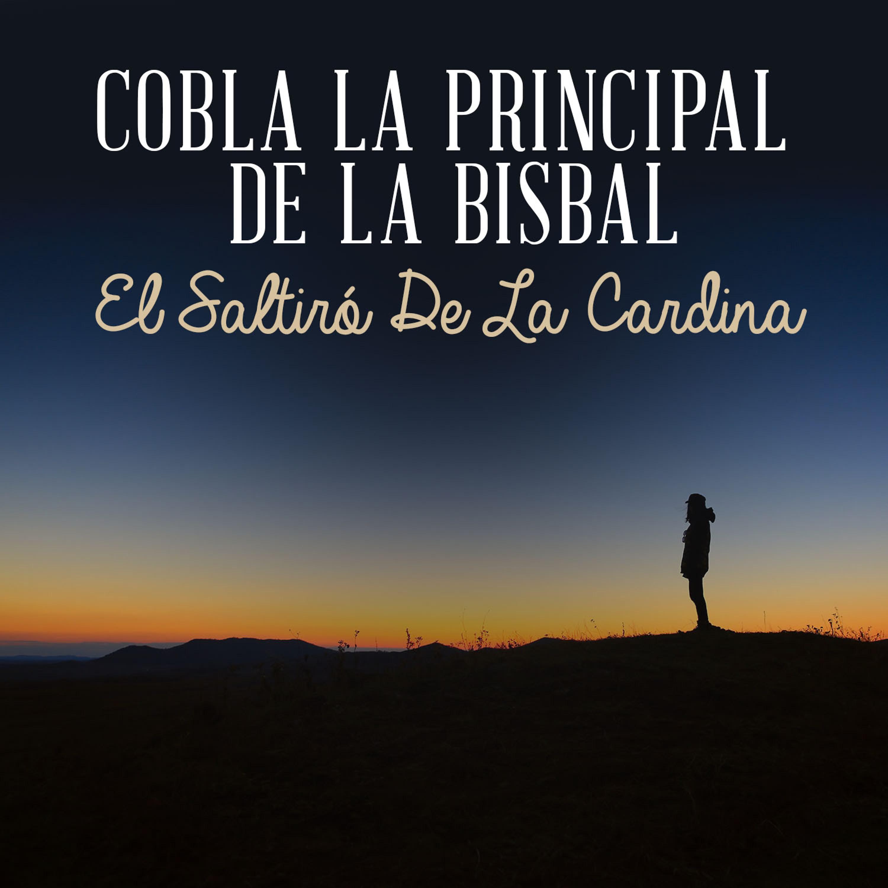 Постер альбома El Saltiró de la Cardina