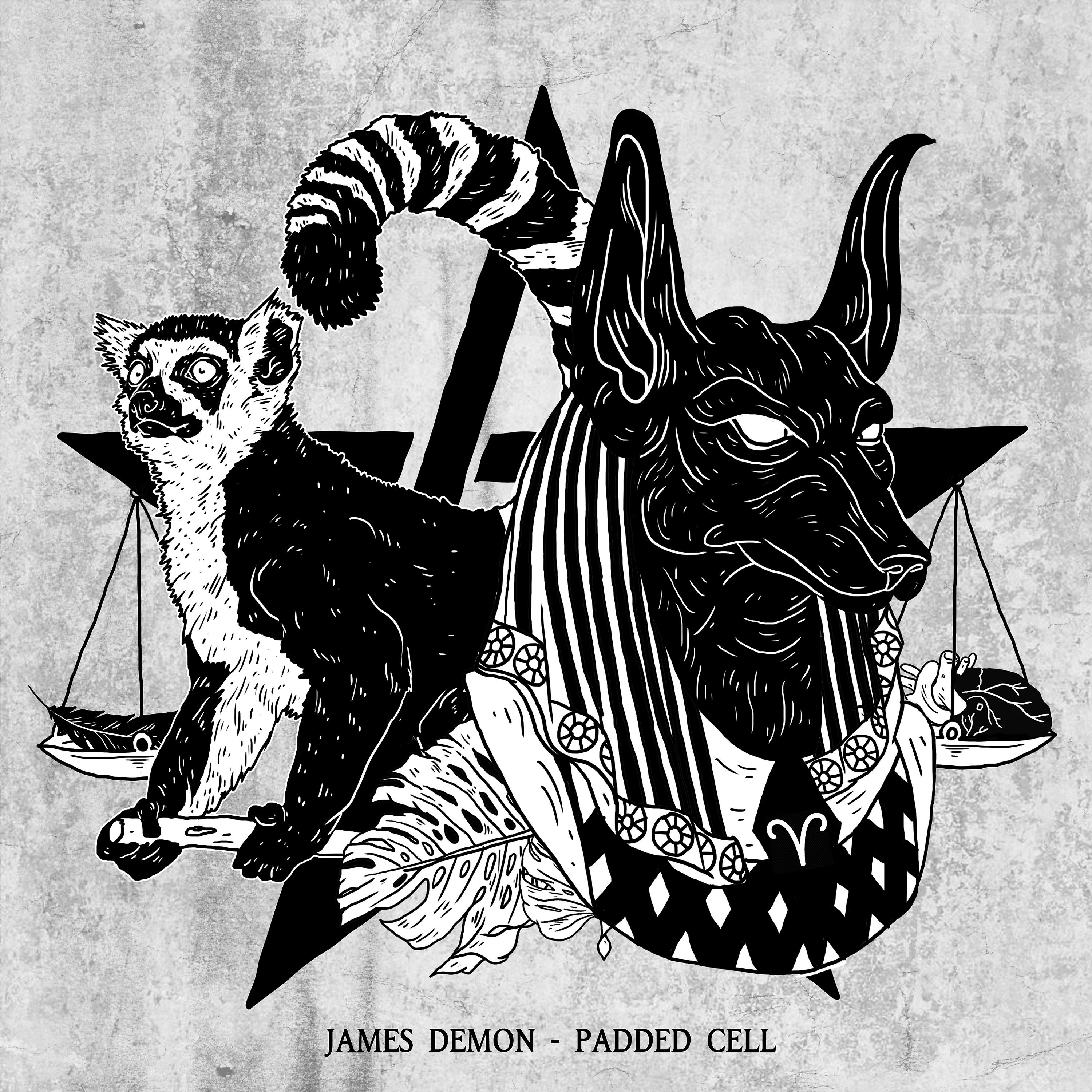 Постер альбома Padded Cell