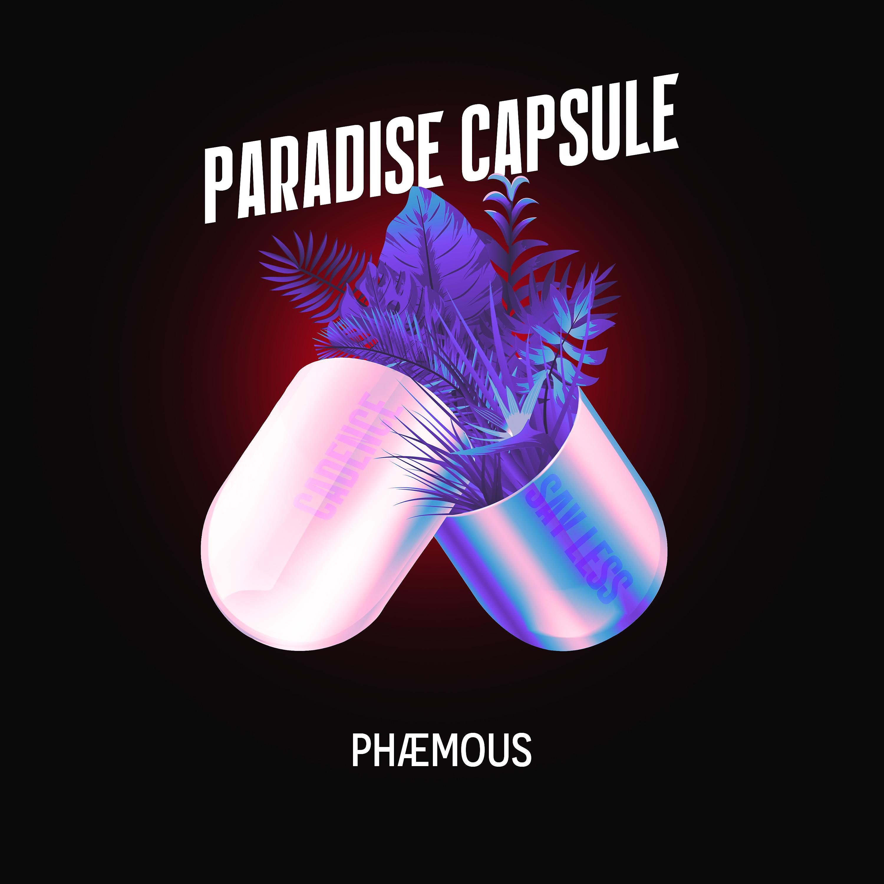Постер альбома Paradise Capsule