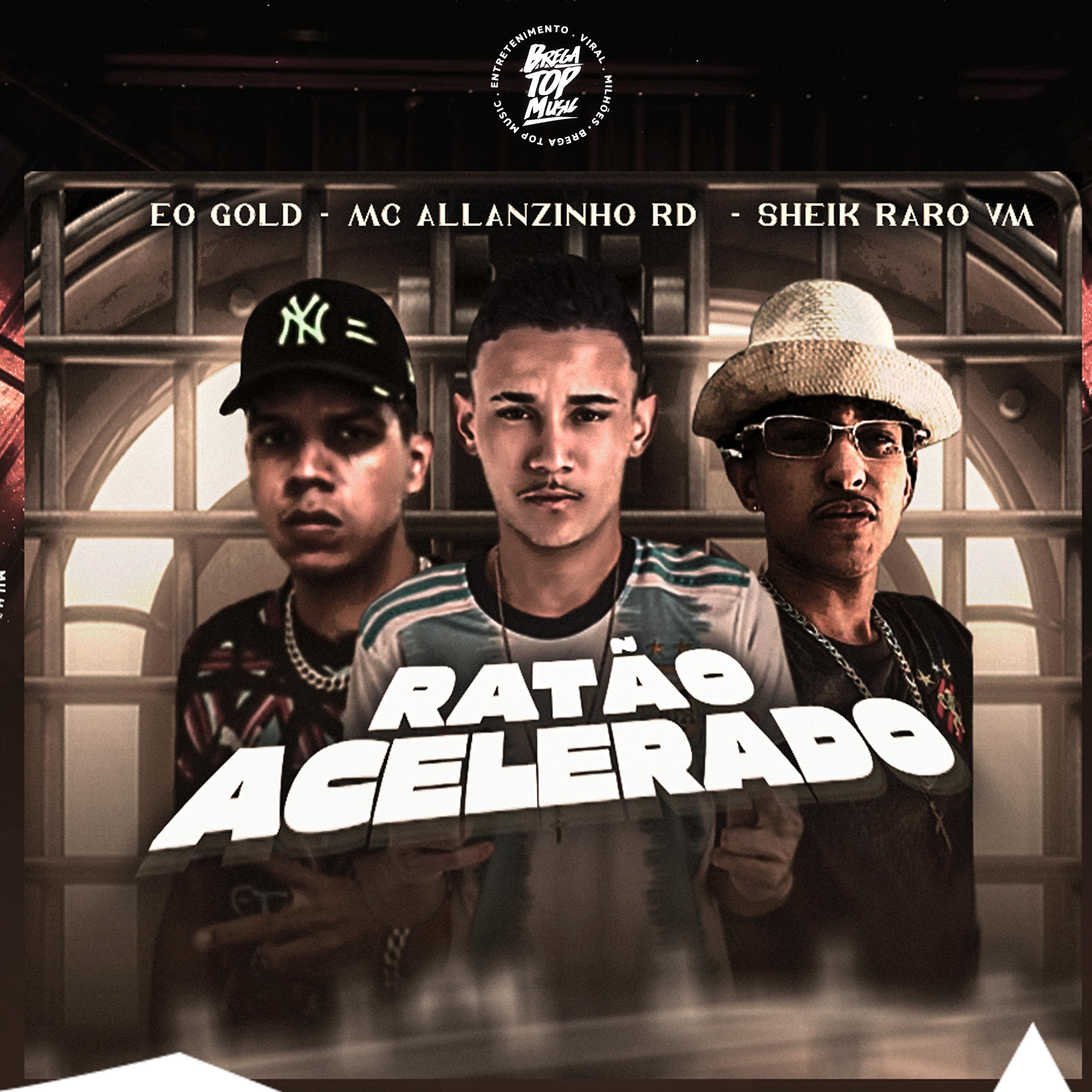 Постер альбома Ratão Acelerado