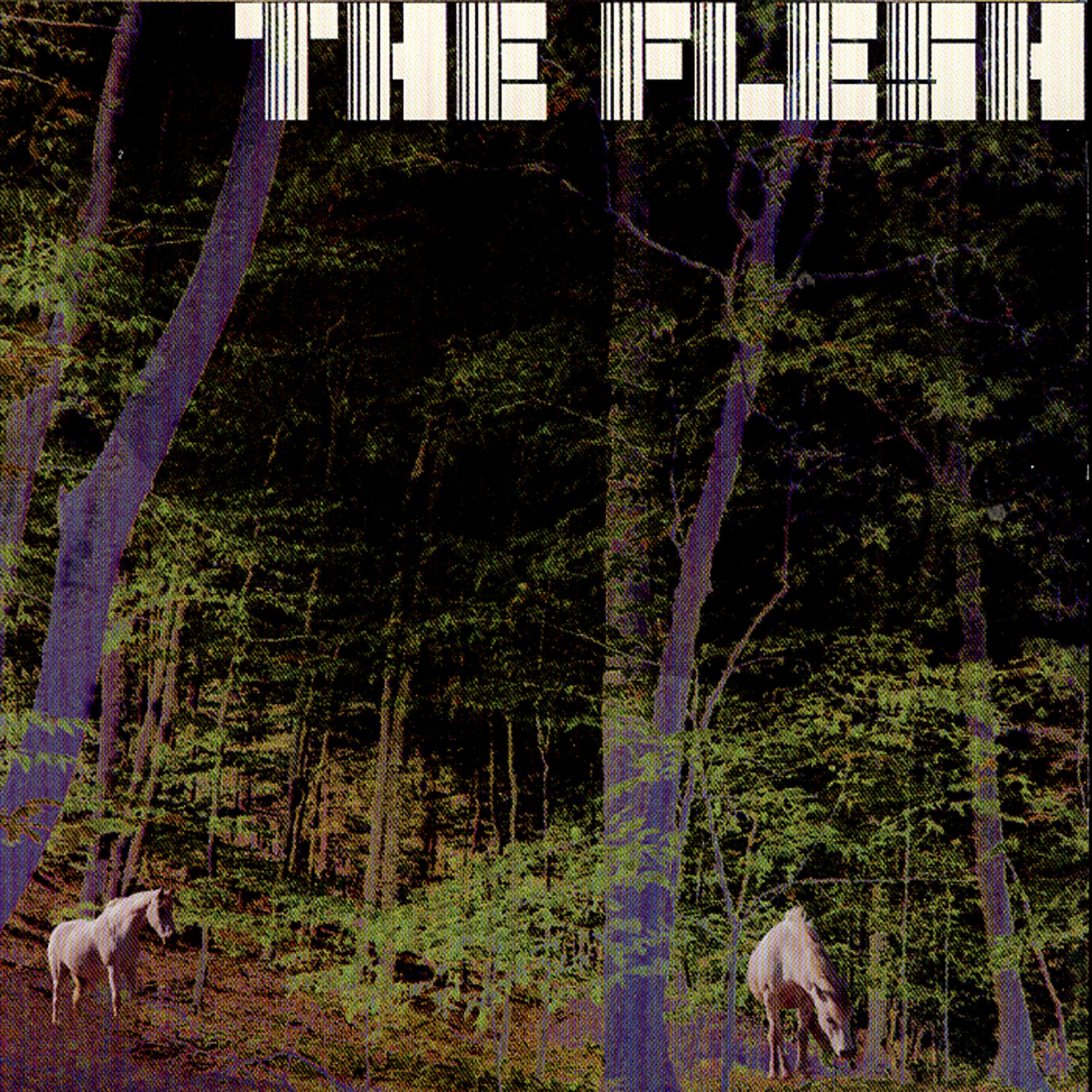 Постер альбома The Flesh