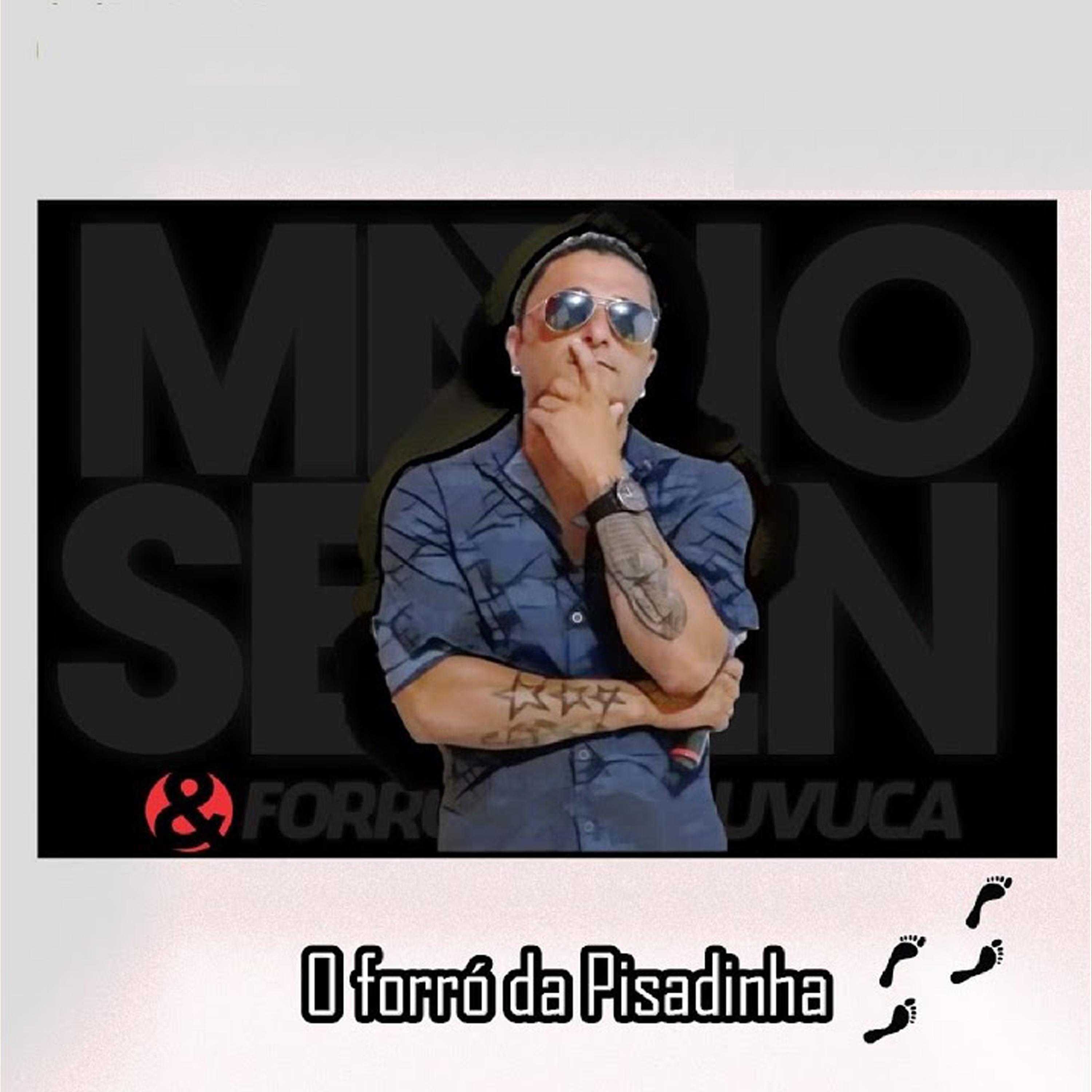 Постер альбома O Forró da Pisadinha