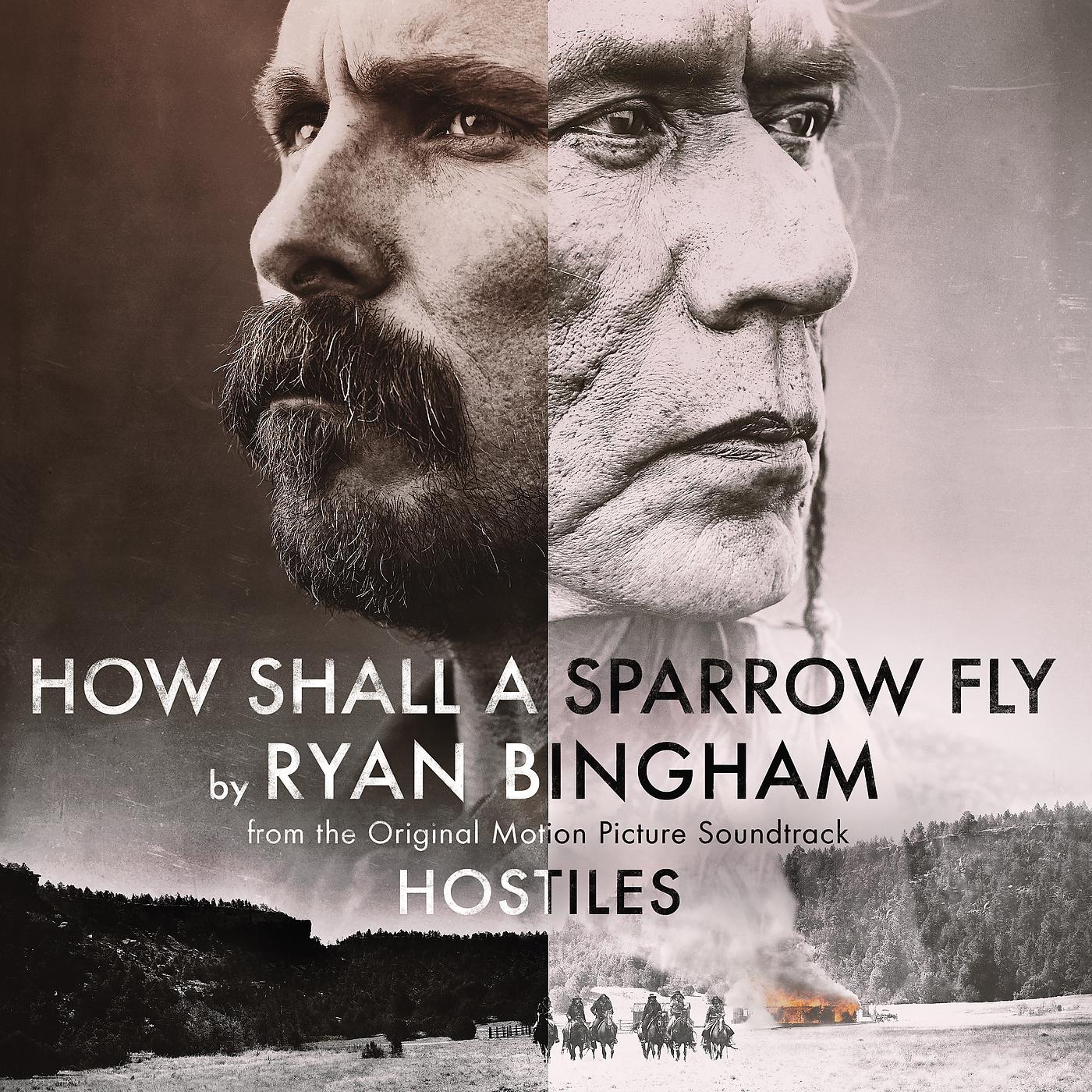 Постер альбома How Shall A Sparrow Fly