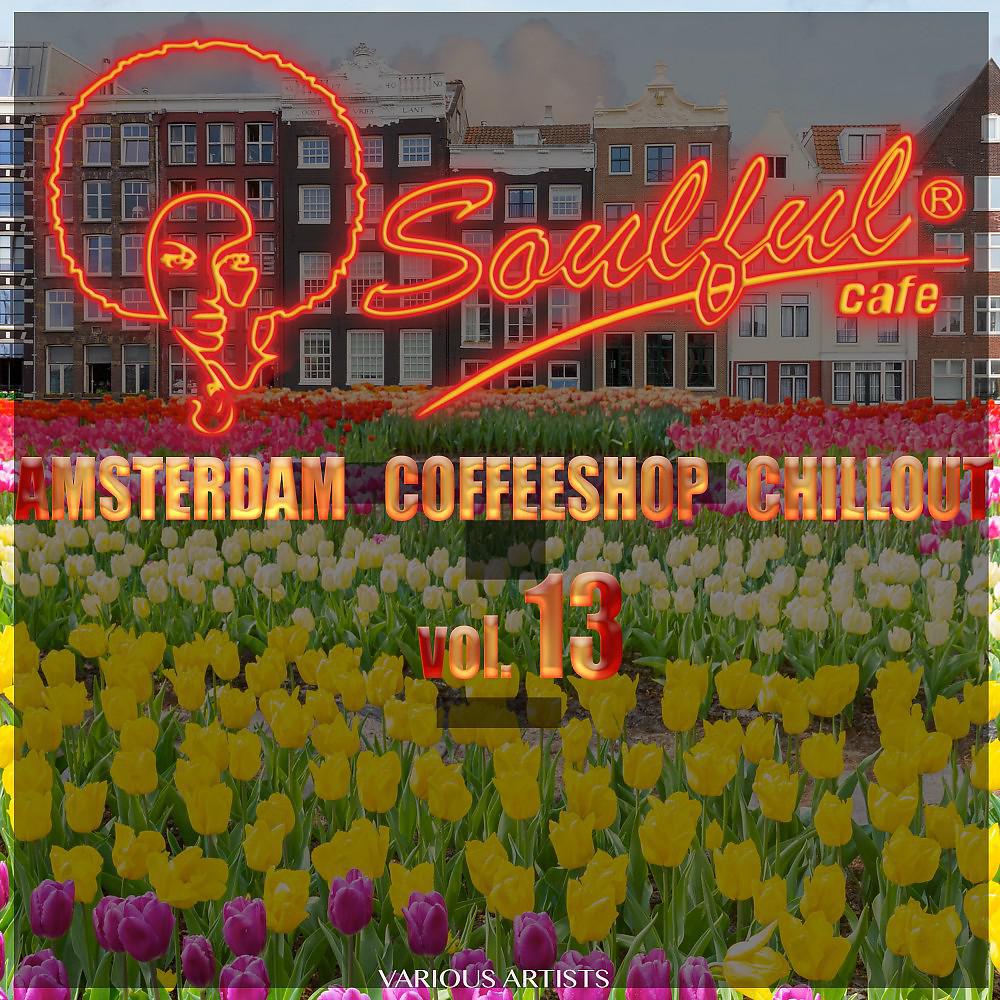 Постер альбома Amsterdam Coffeeshop Chillout, Vol. 13
