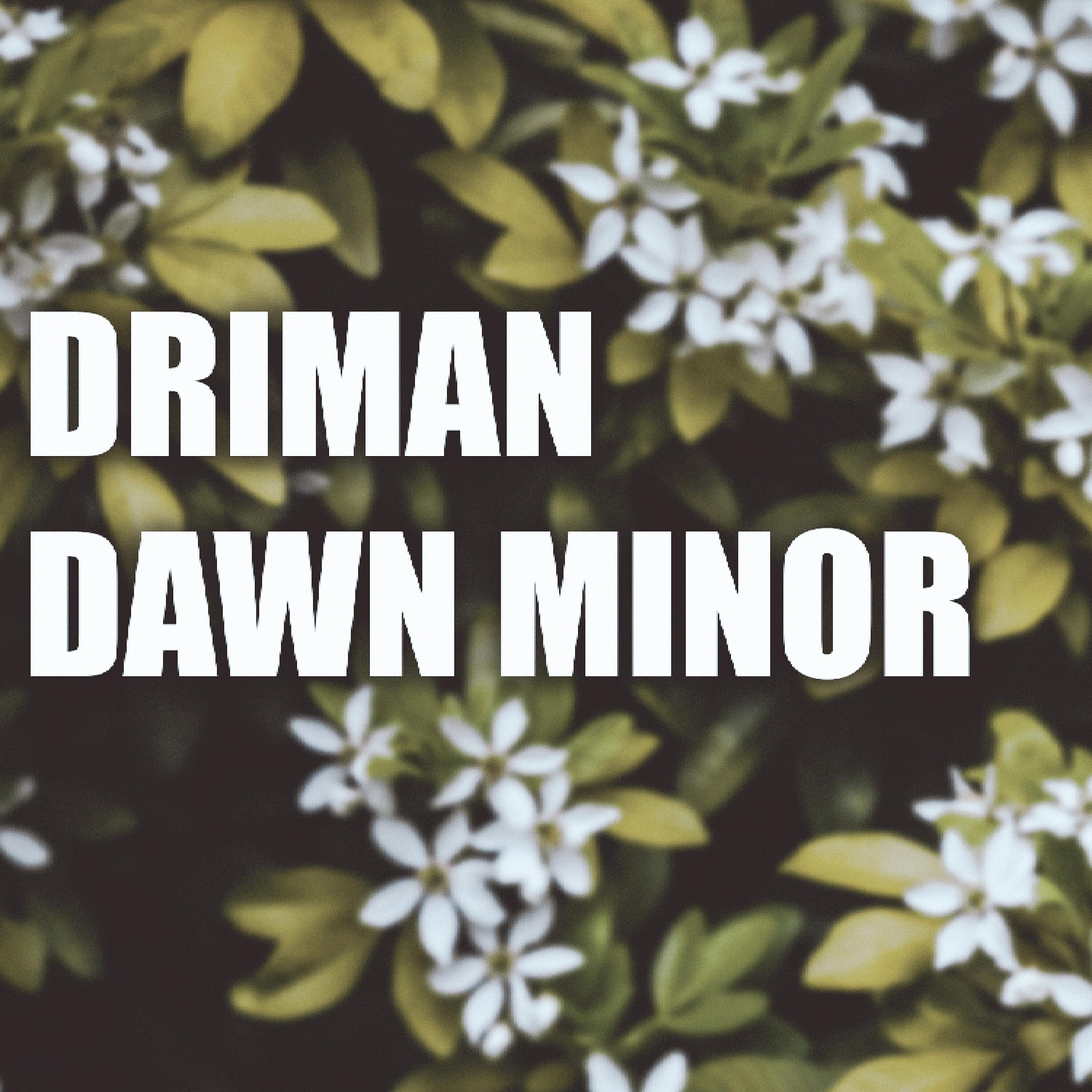 Постер альбома Dawn Minor