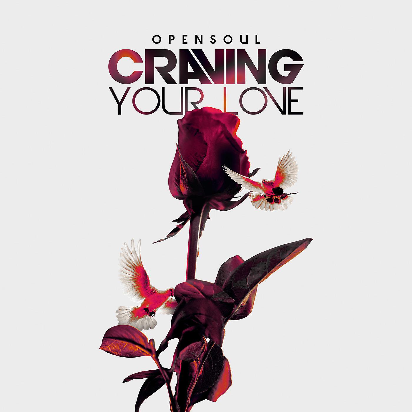Постер альбома Craving Your Love