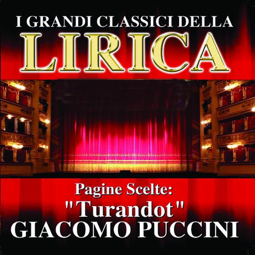 Постер альбома Giacomo Puccini : Turandot, Pagine scelte