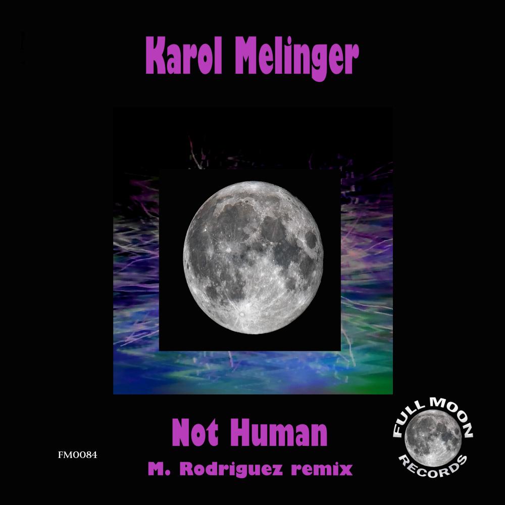 Постер альбома Not Human (M. Rodriguez Remix)