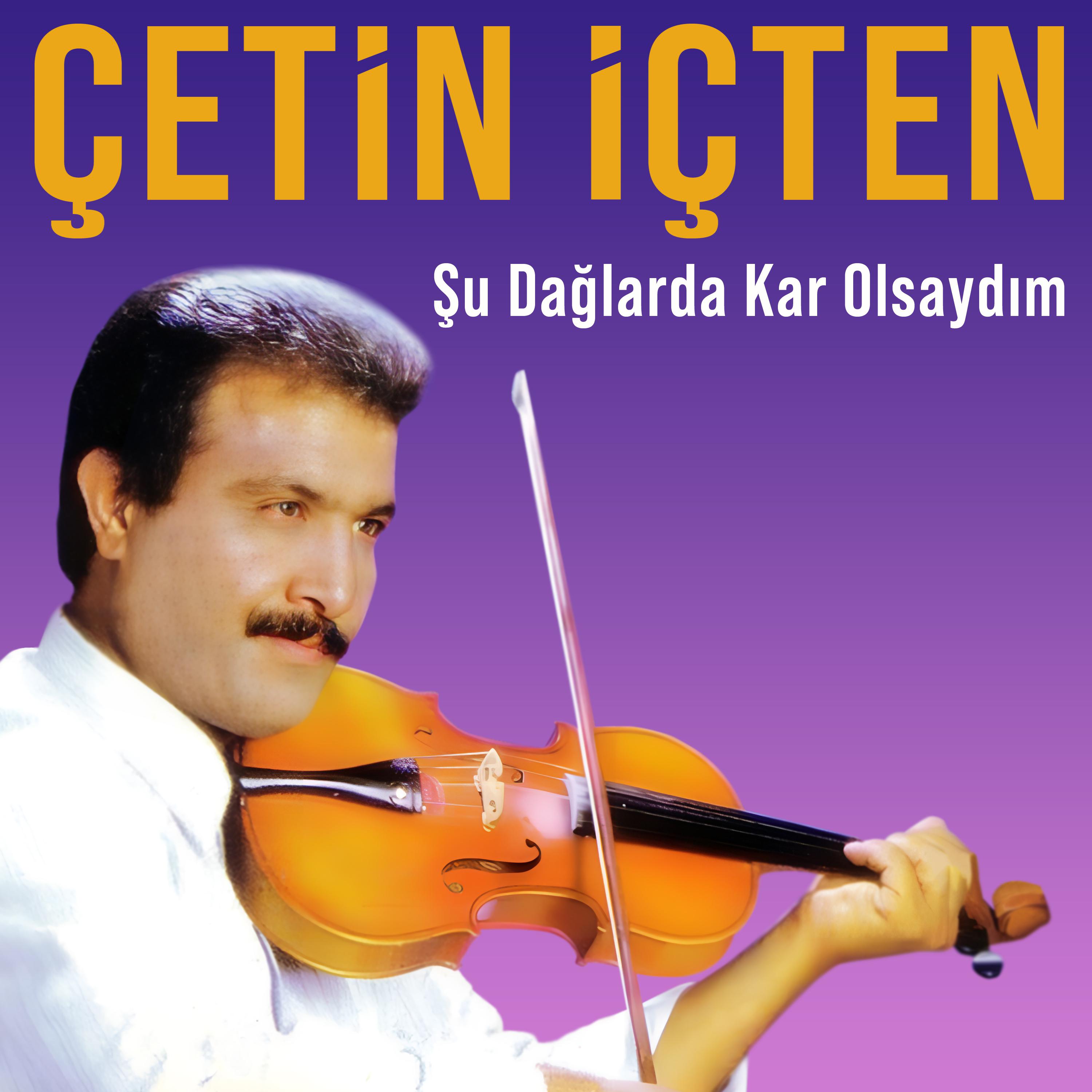 Постер альбома Şu Dağlarda Kar Olsaydım
