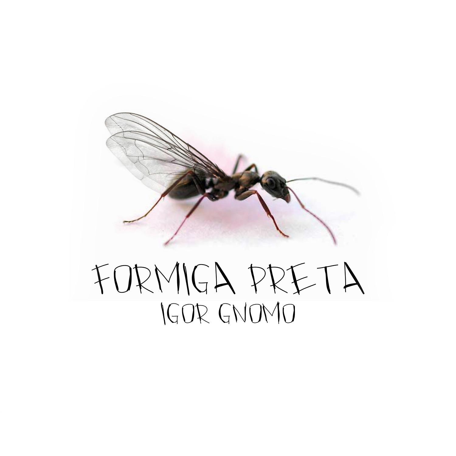Постер альбома Formiga Preta