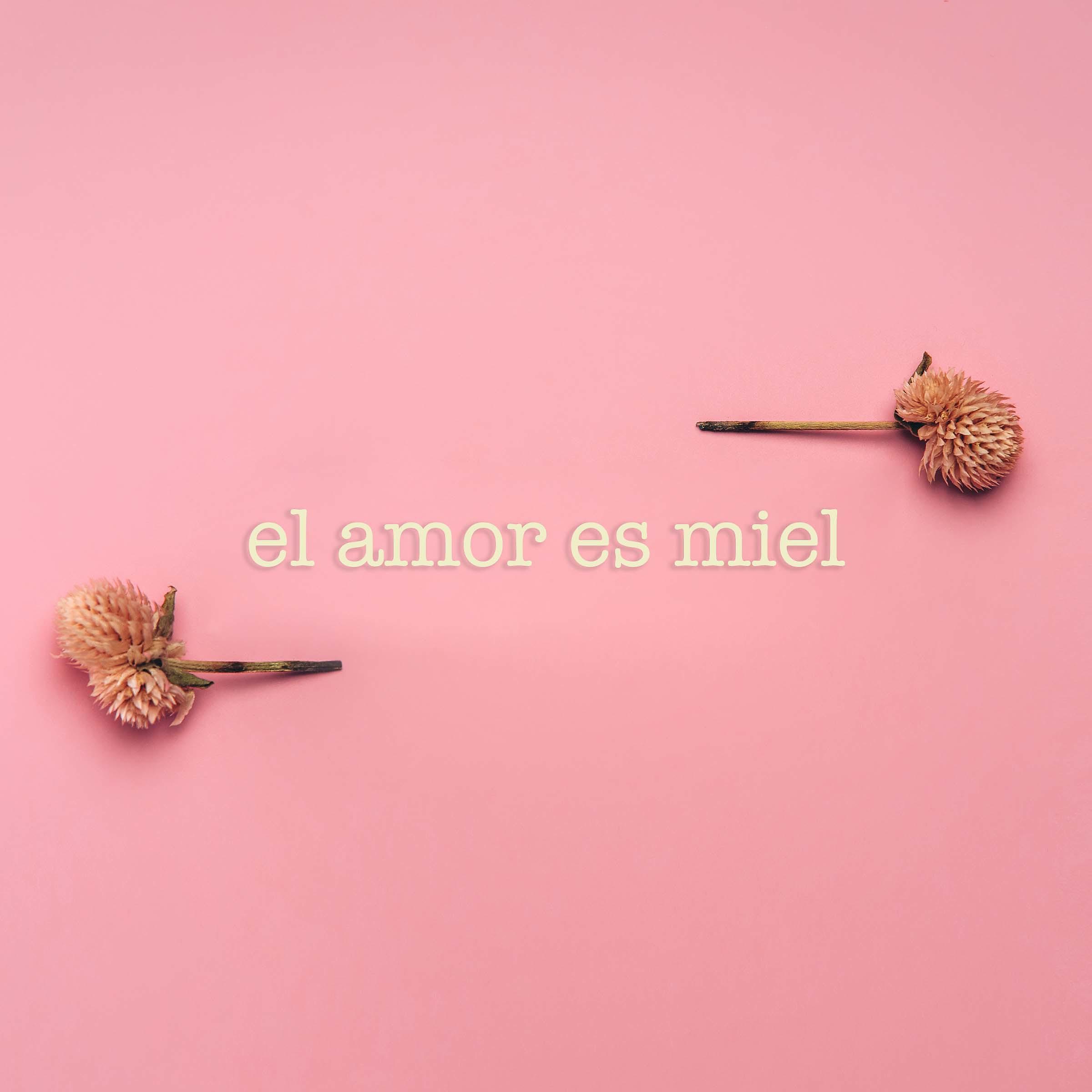 Постер альбома El amor es miel