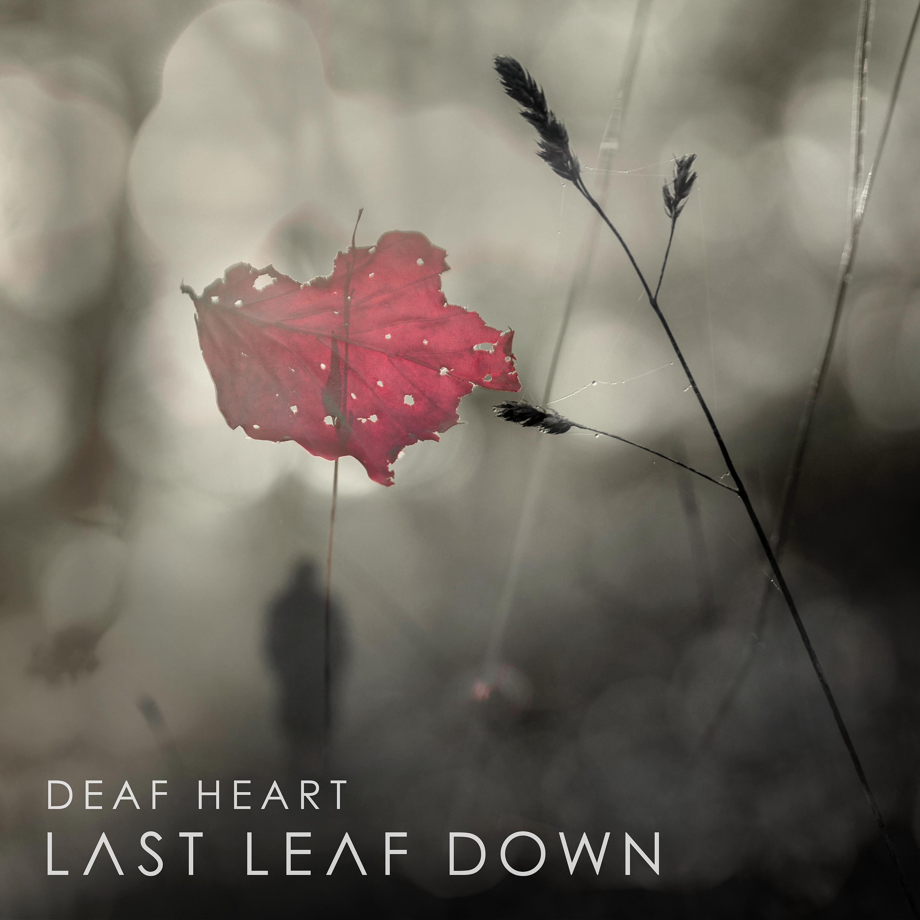 Постер альбома Deaf Heart