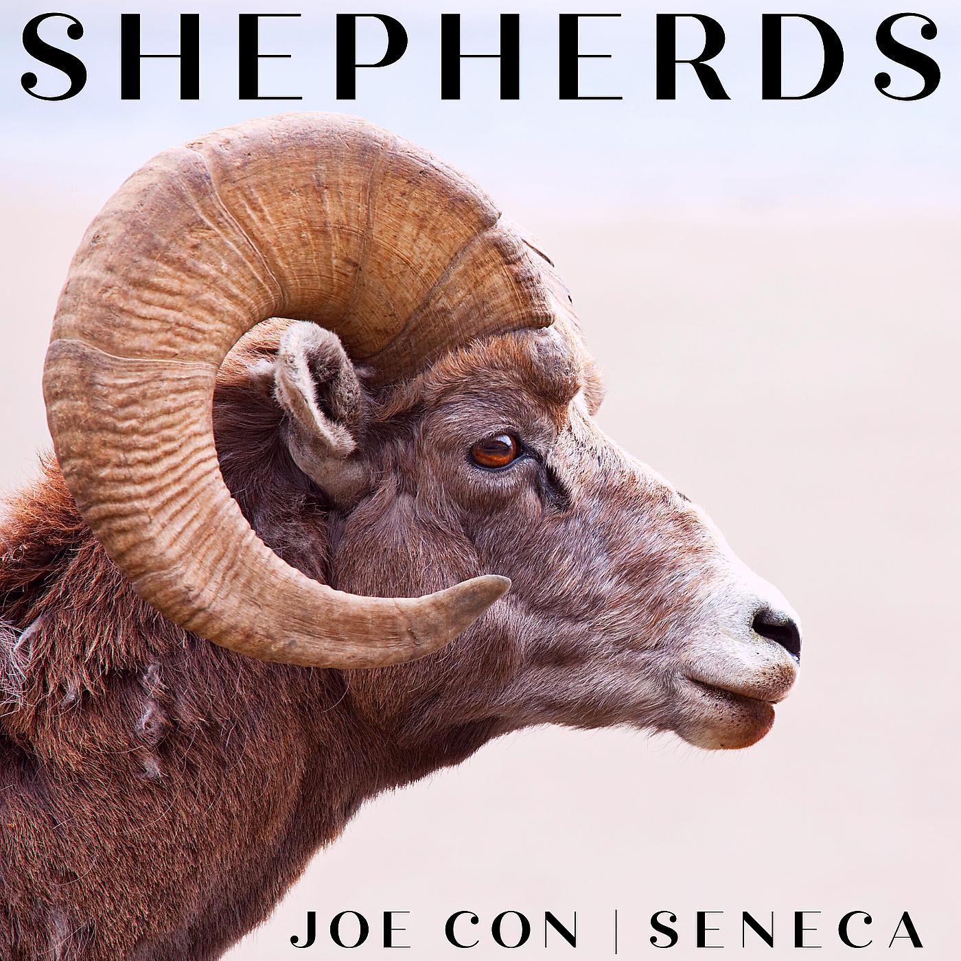 Постер альбома Shepherds
