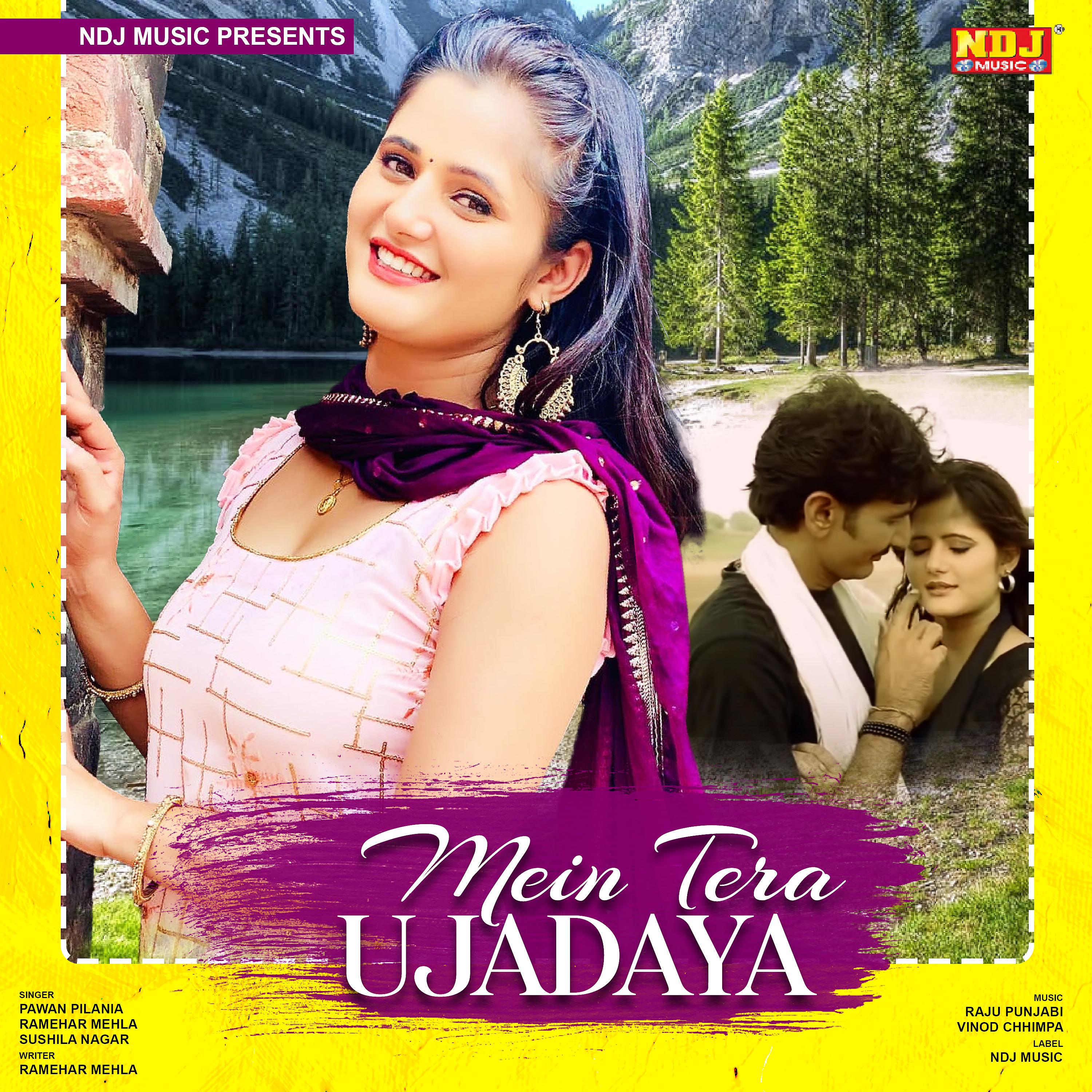Постер альбома Mein Tera Ujadaya