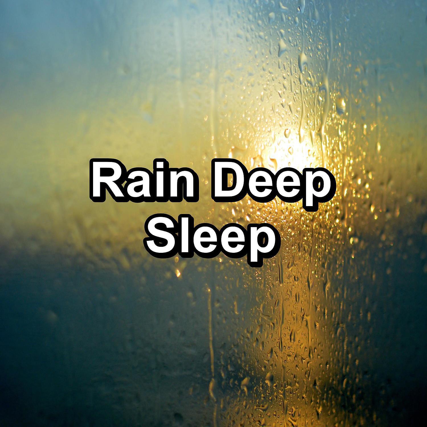 Постер альбома Rain Deep Sleep