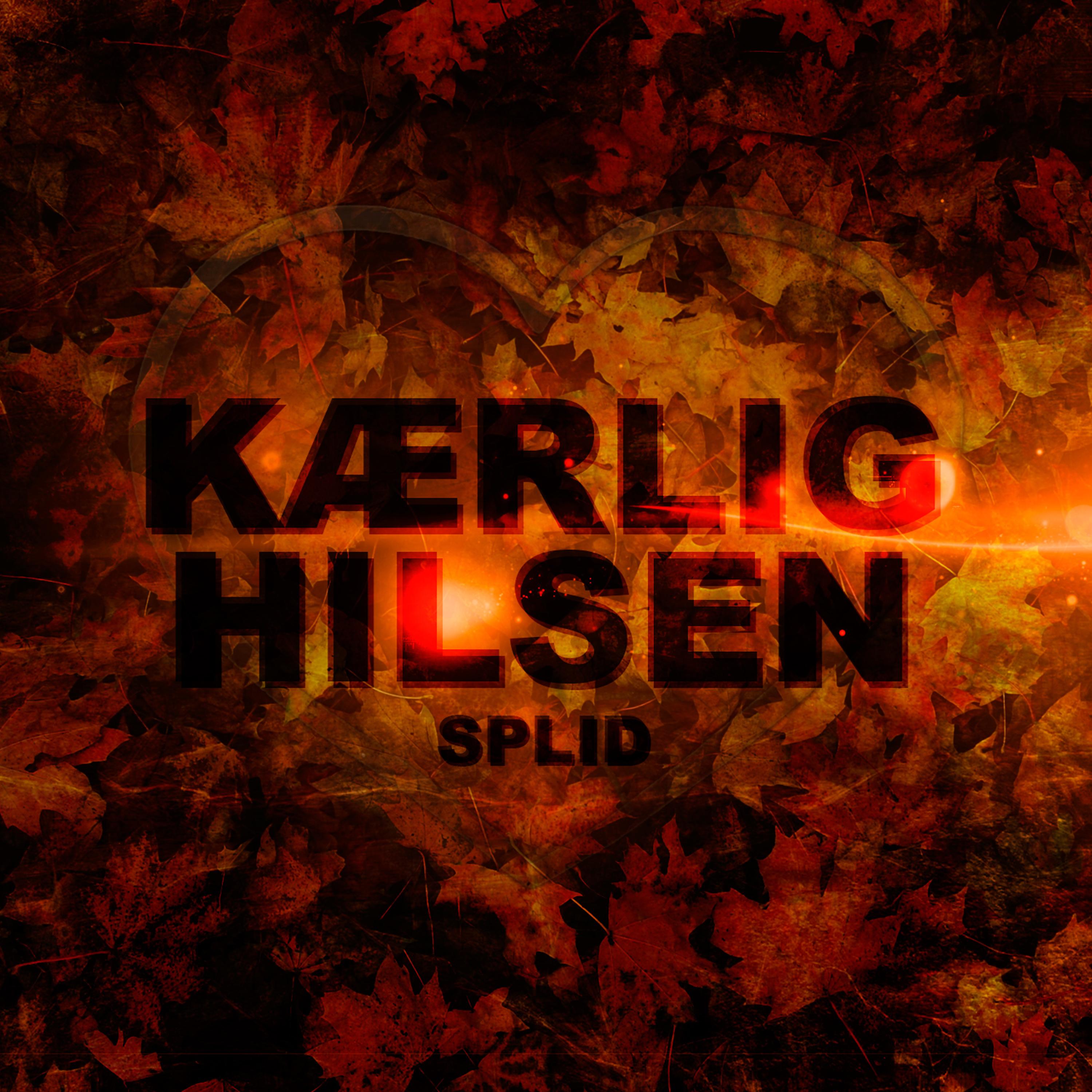 Постер альбома Kærlig Hilsen 2013